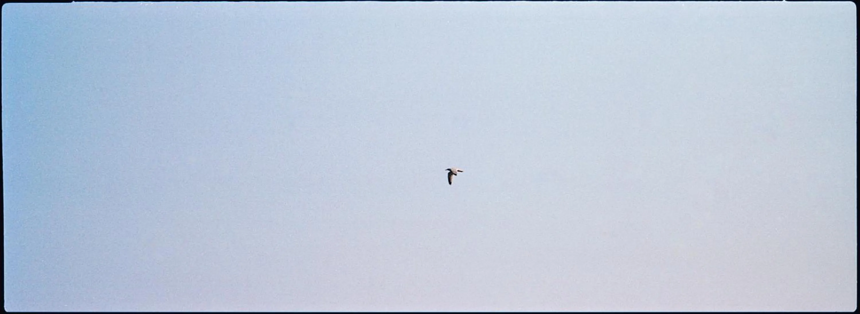 Day in Villa Domus 1938