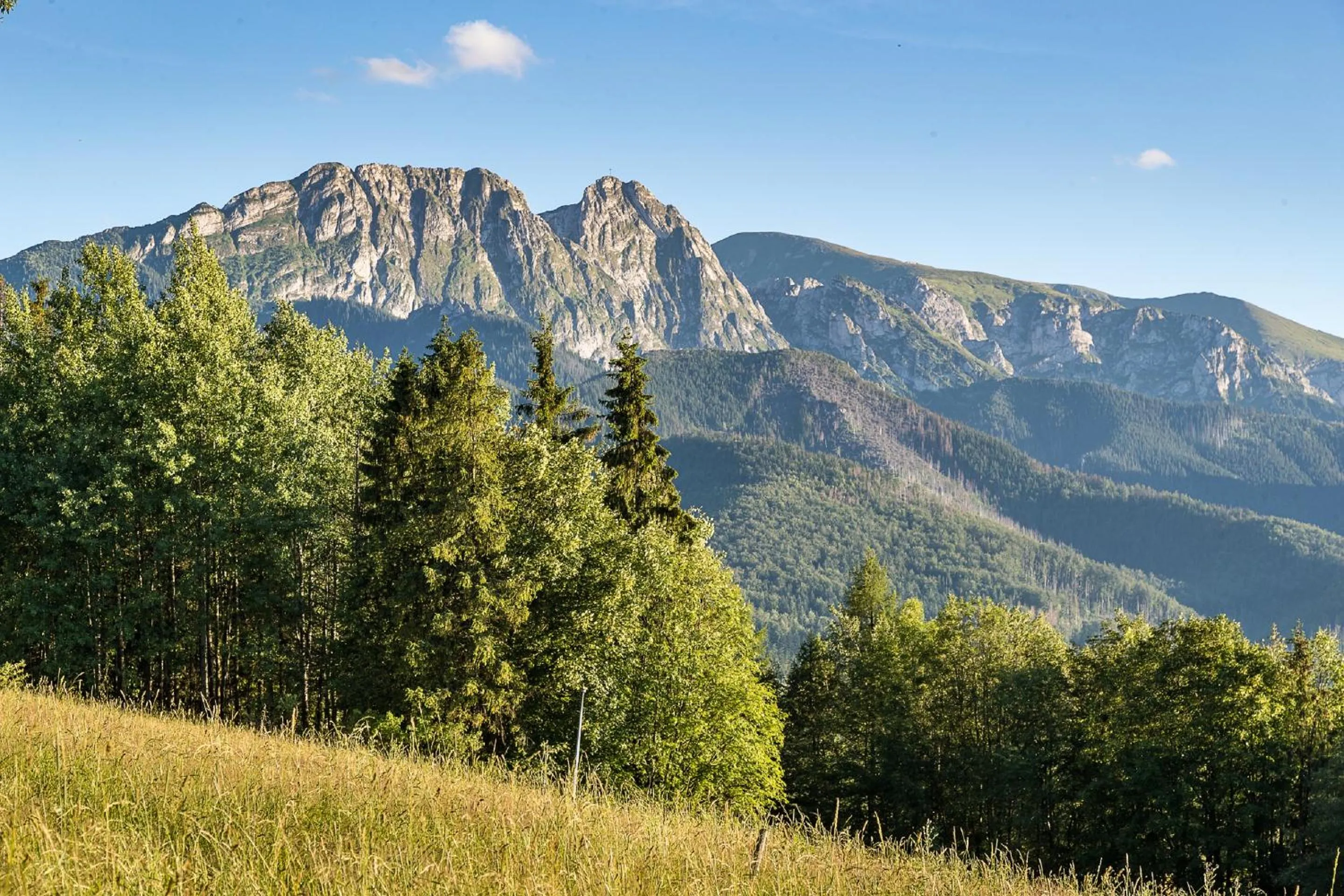 View (from property/room) in Smrekowa Polana Resort & Spa