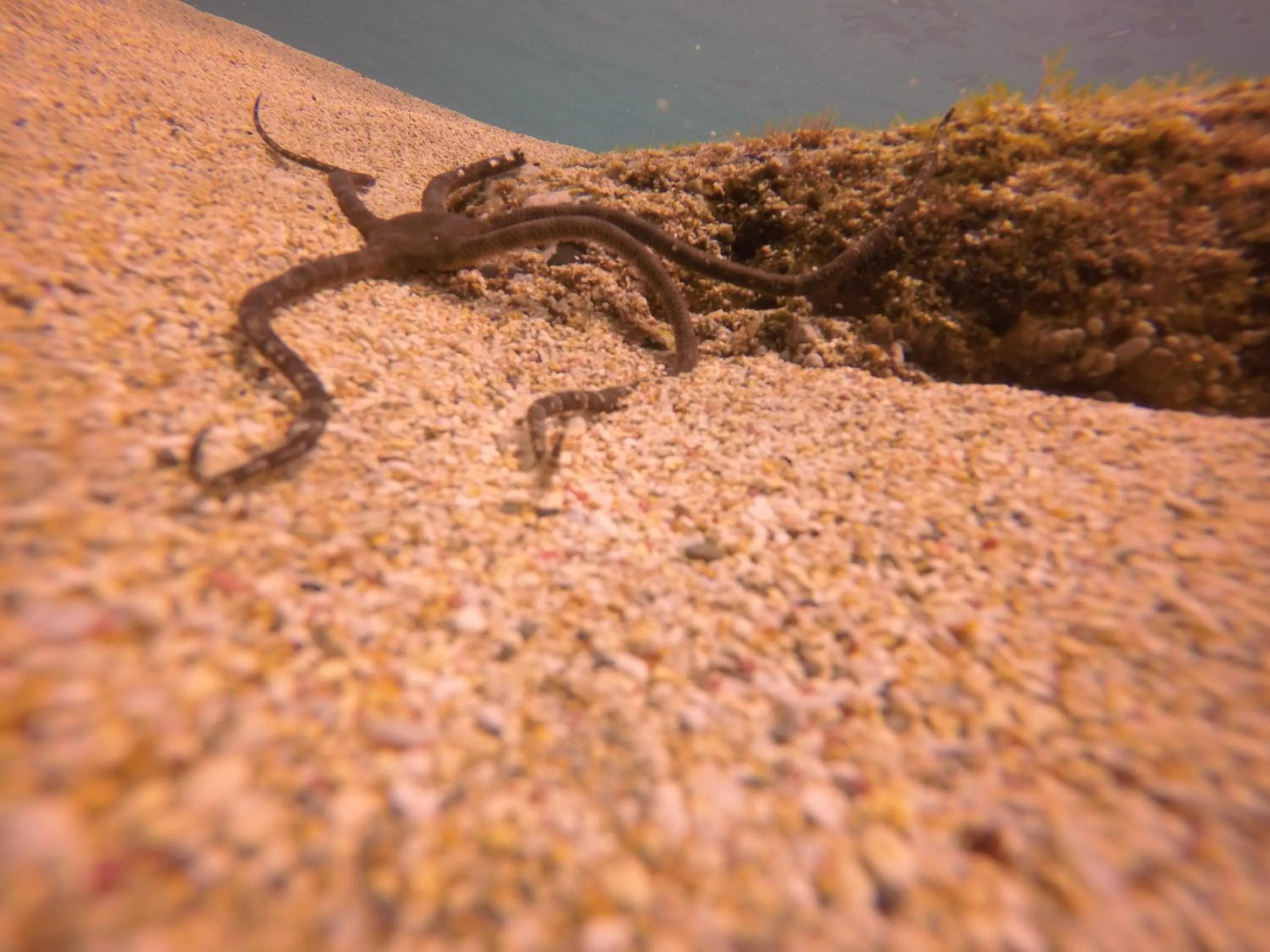 Off site in Belo Monte Hotel and Museum