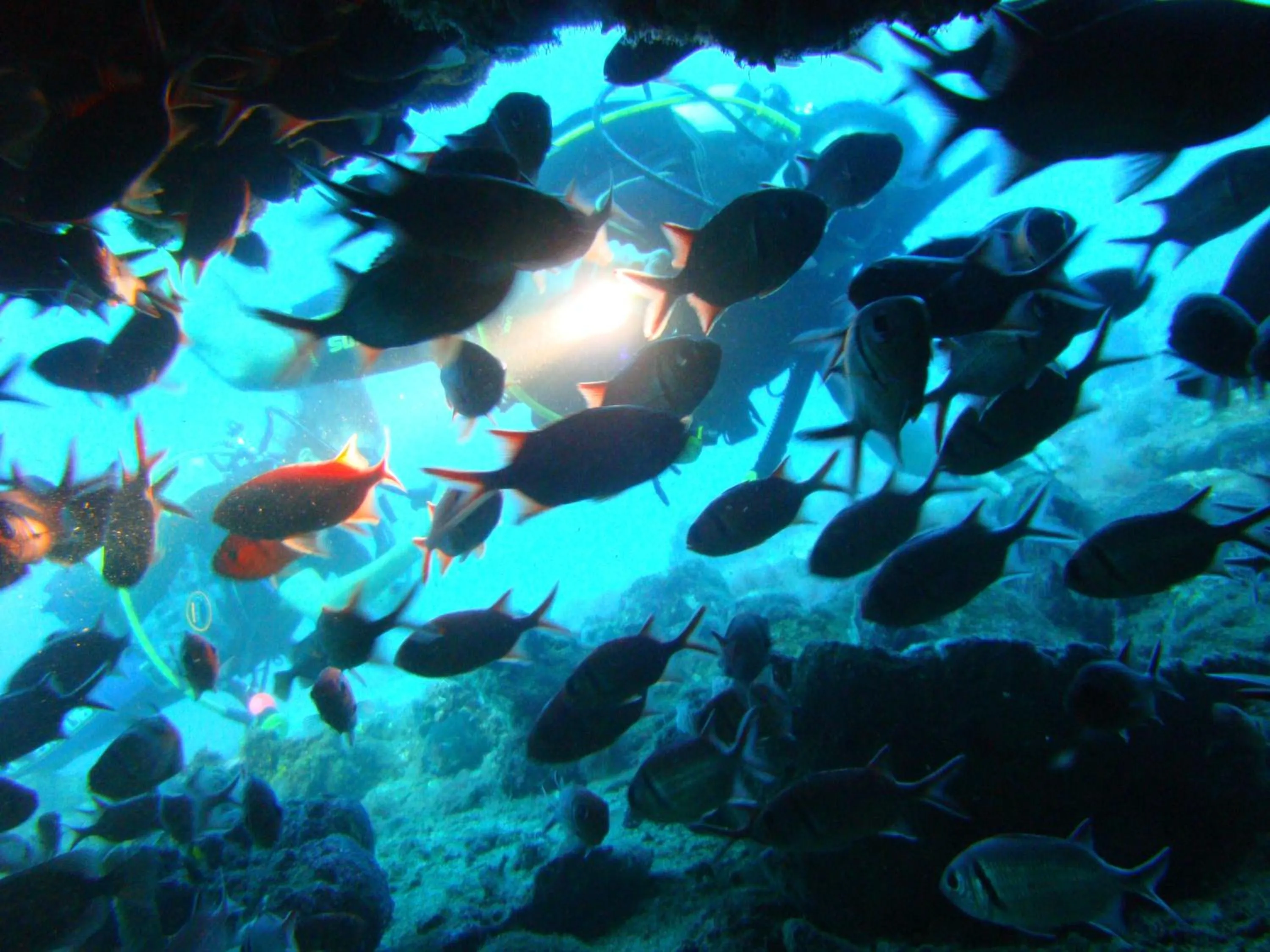 Activities in Belo Monte Hotel and Museum