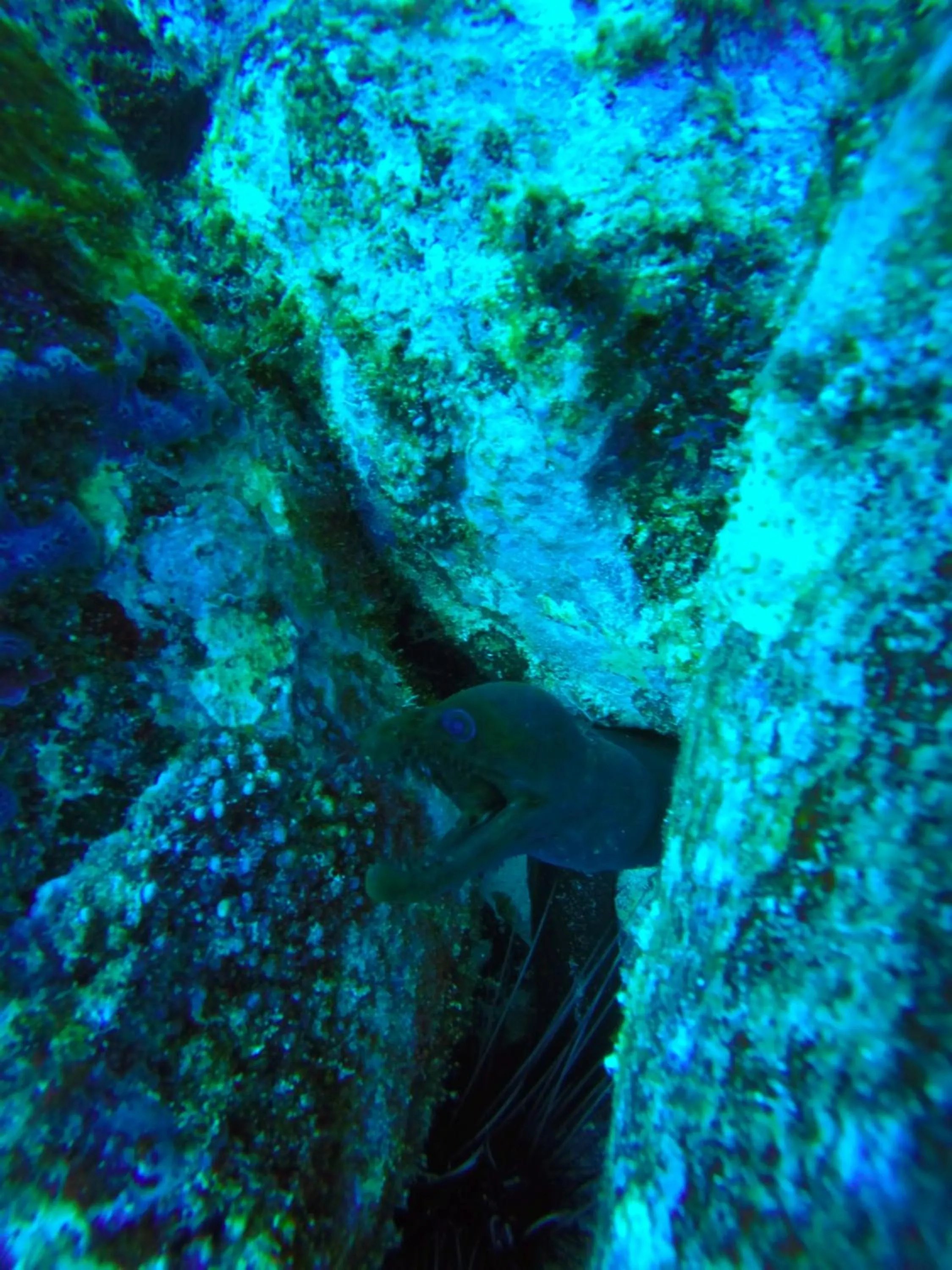 Snorkeling in Belo Monte Hotel and Museum