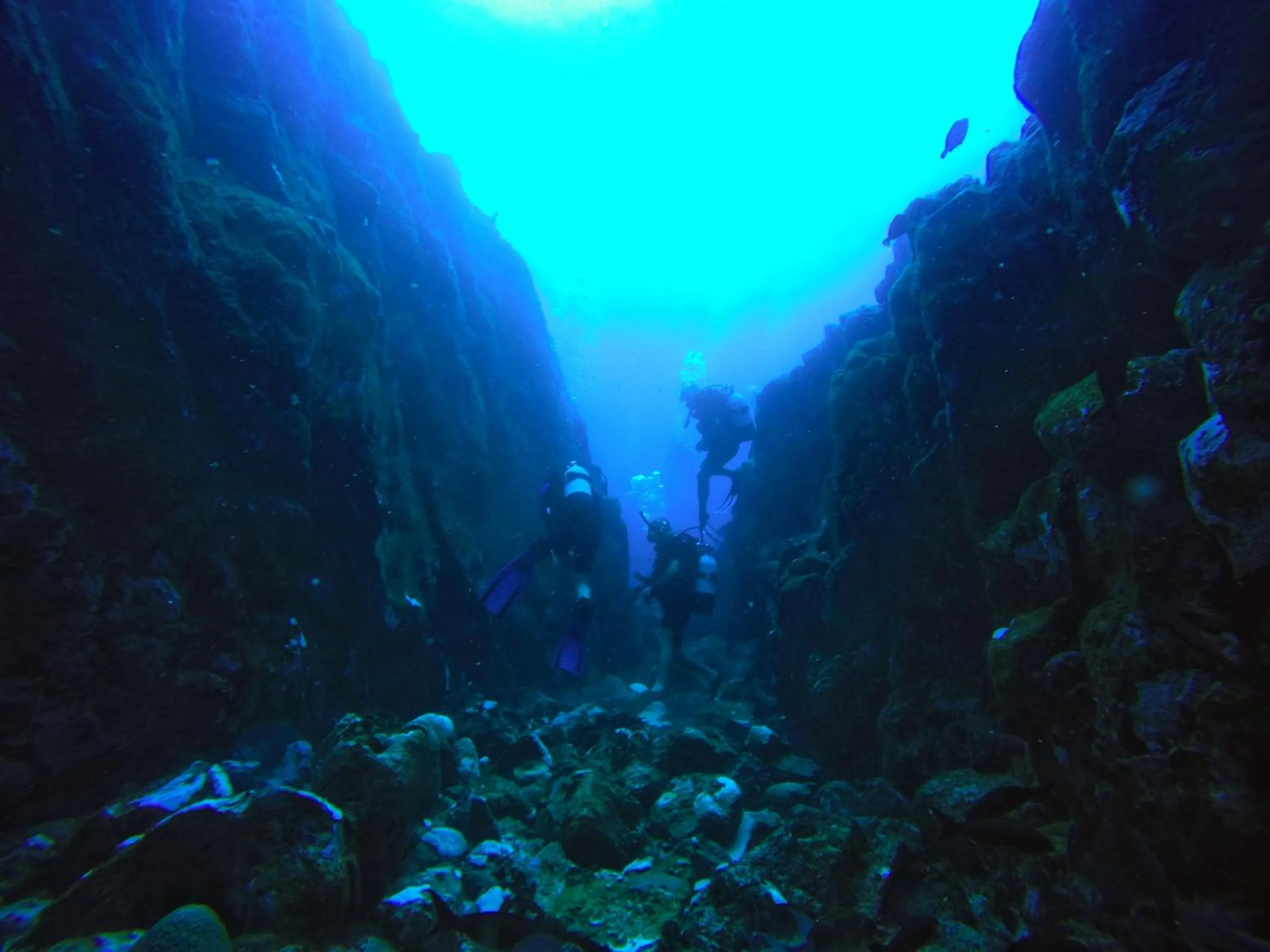 Diving in Belo Monte Hotel and Museum