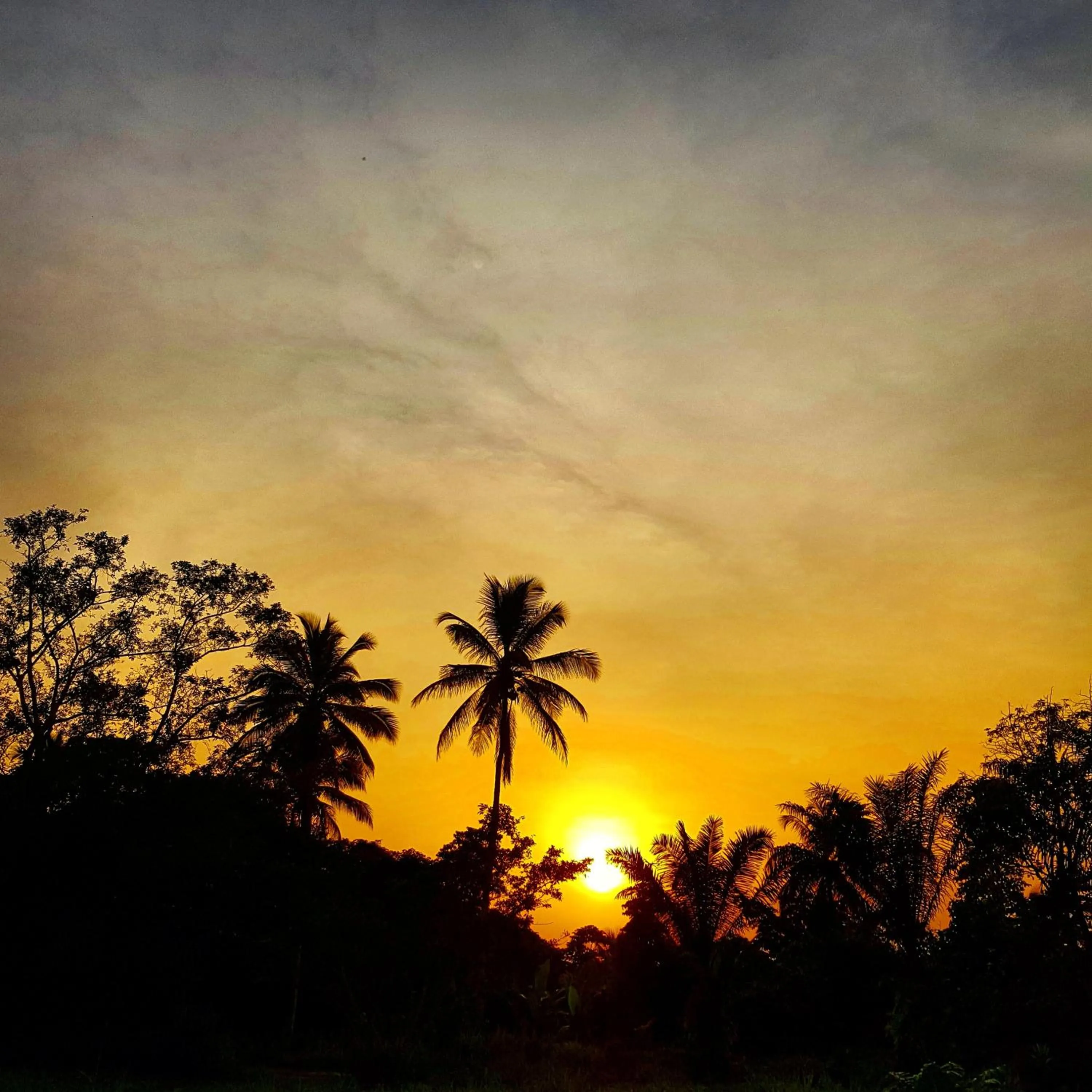 Natural landscape in Belo Monte Hotel and Museum