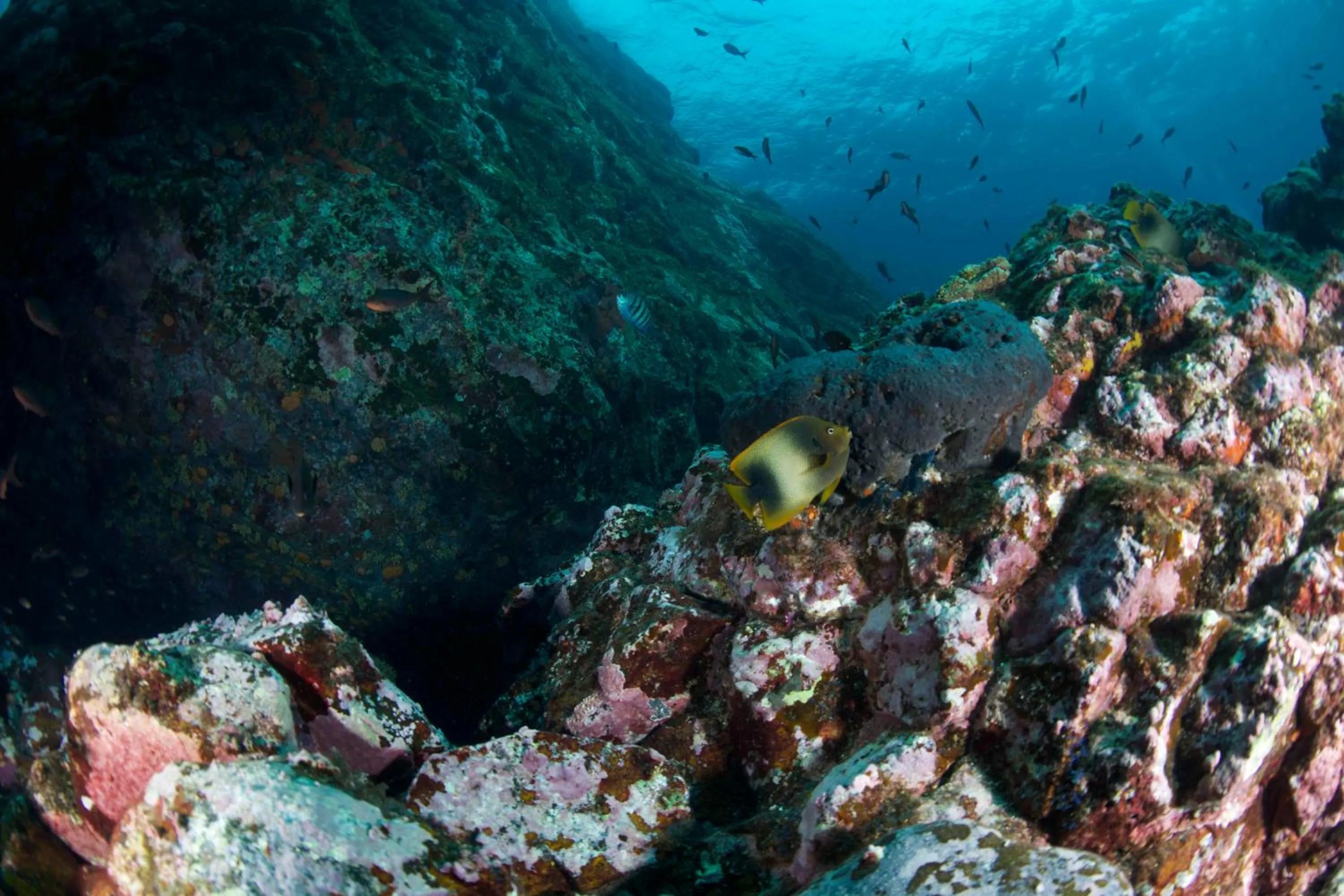 Snorkeling in Belo Monte Hotel and Museum