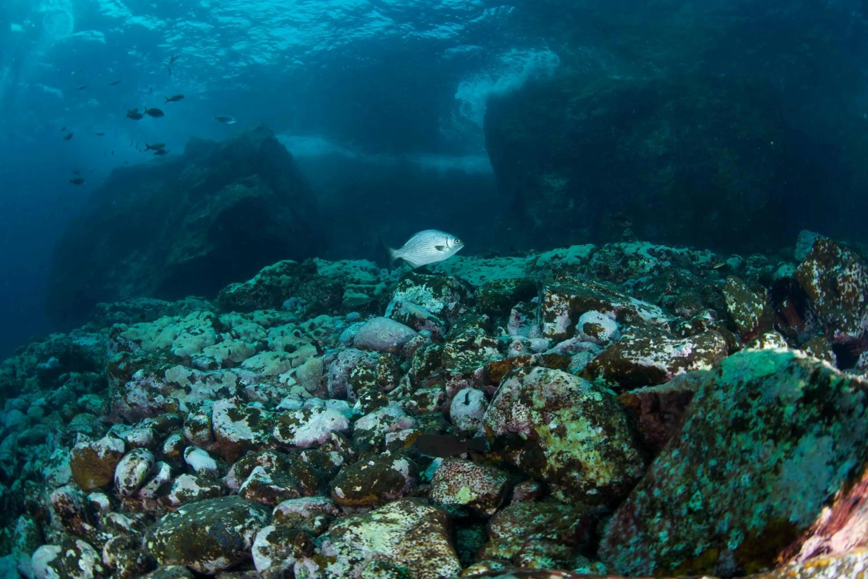 Snorkeling in Belo Monte Hotel and Museum