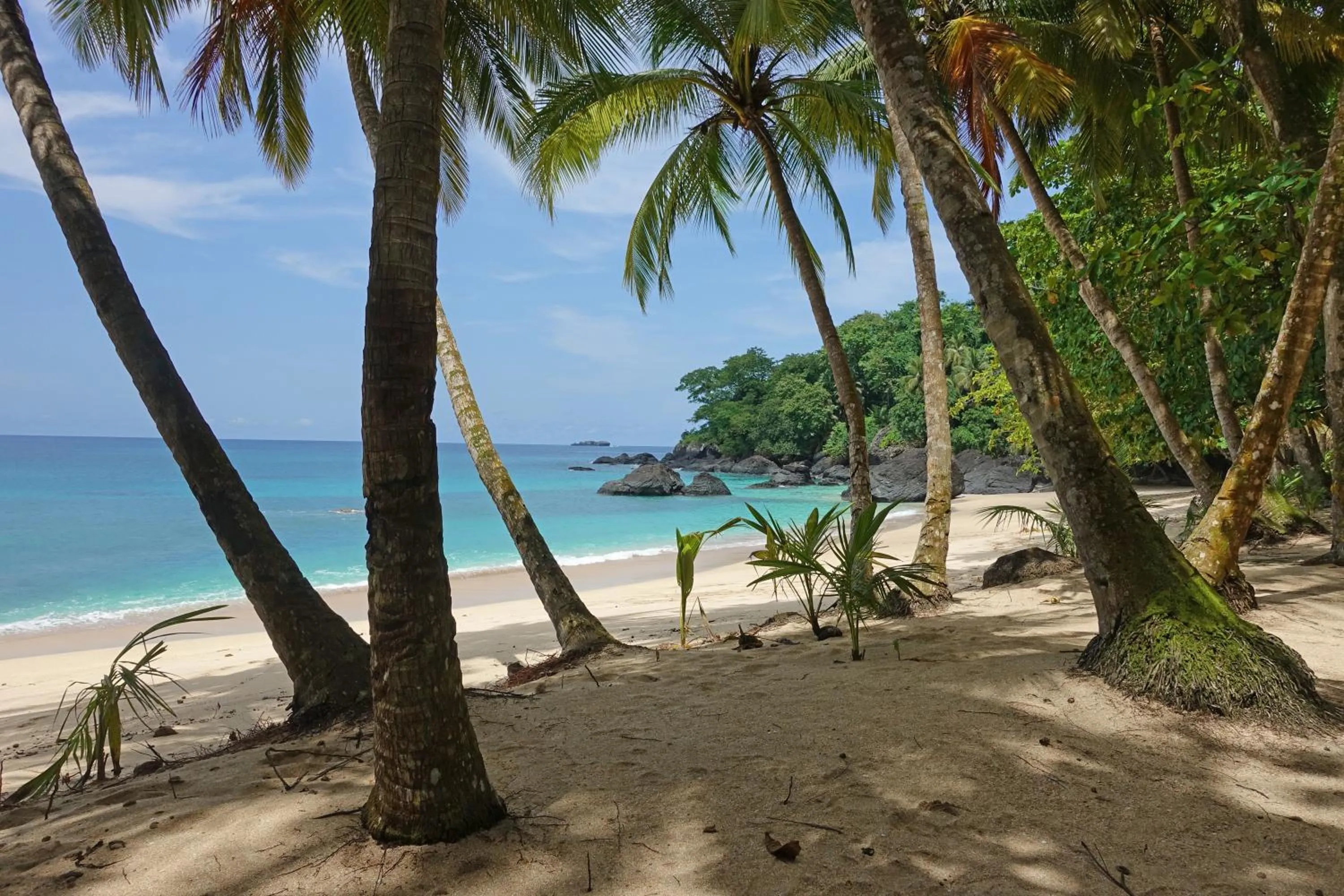 Restaurant/places to eat in Belo Monte Hotel and Museum