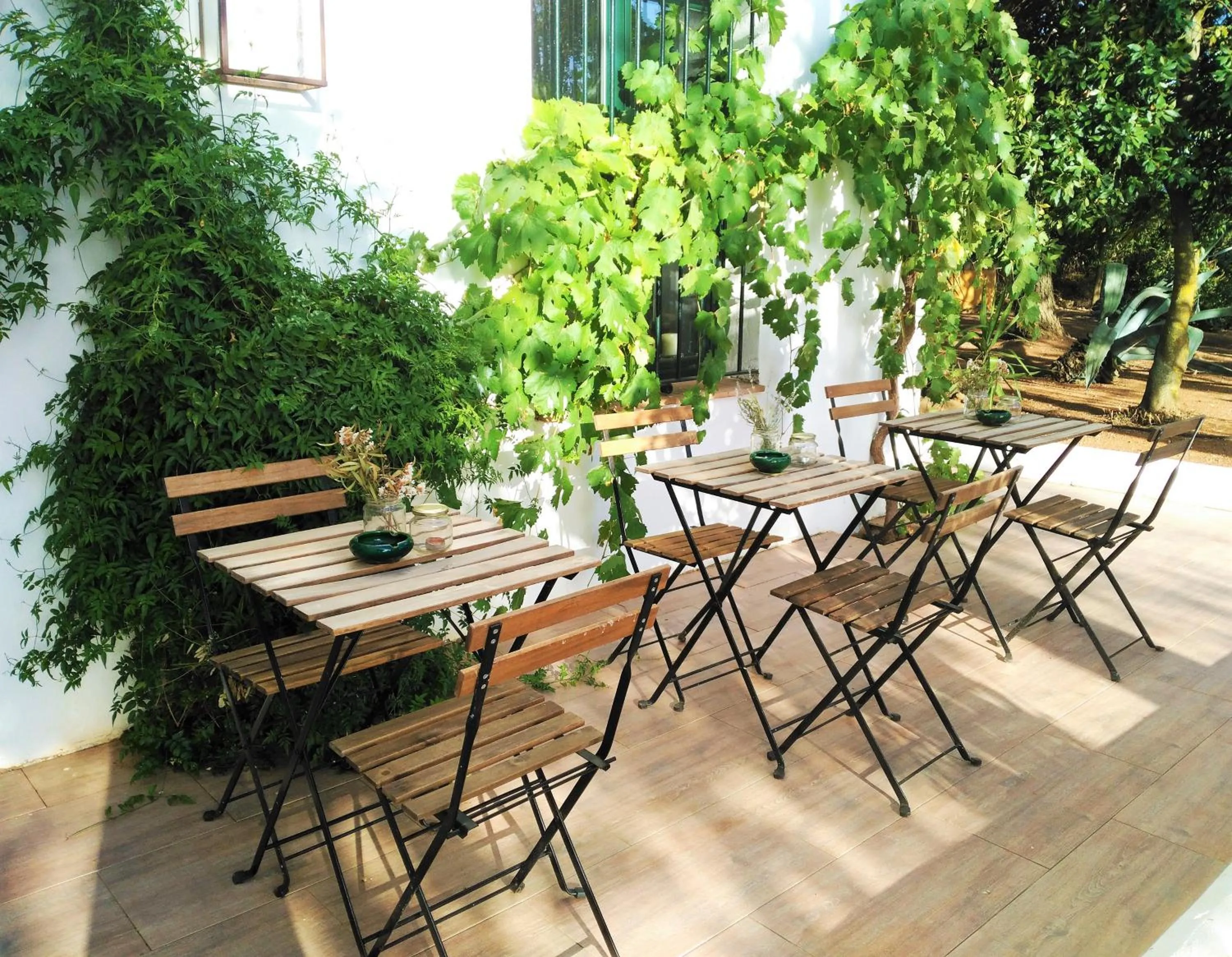 Garden in Cortijo de Vega Grande
