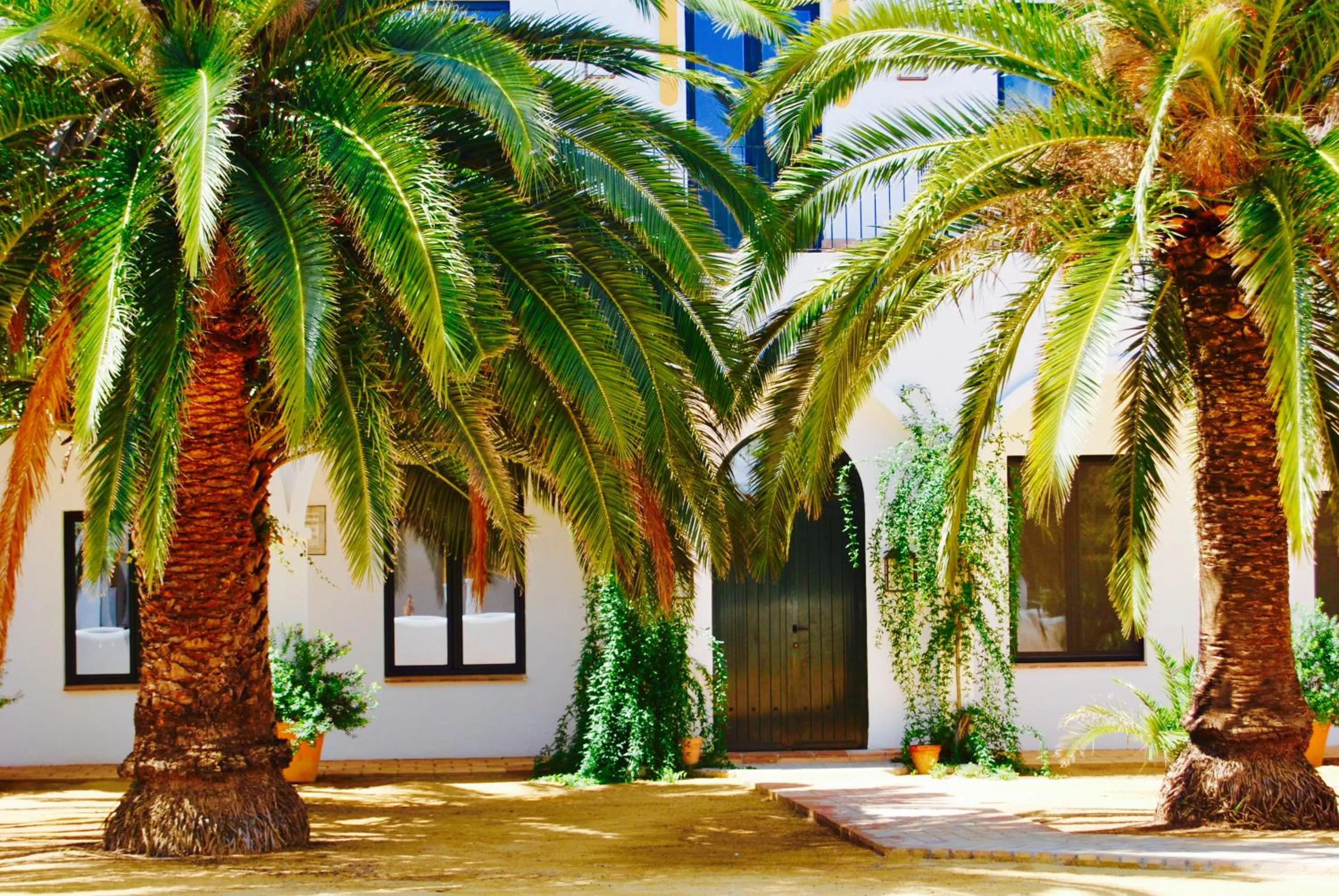 Patio in Cortijo de Vega Grande