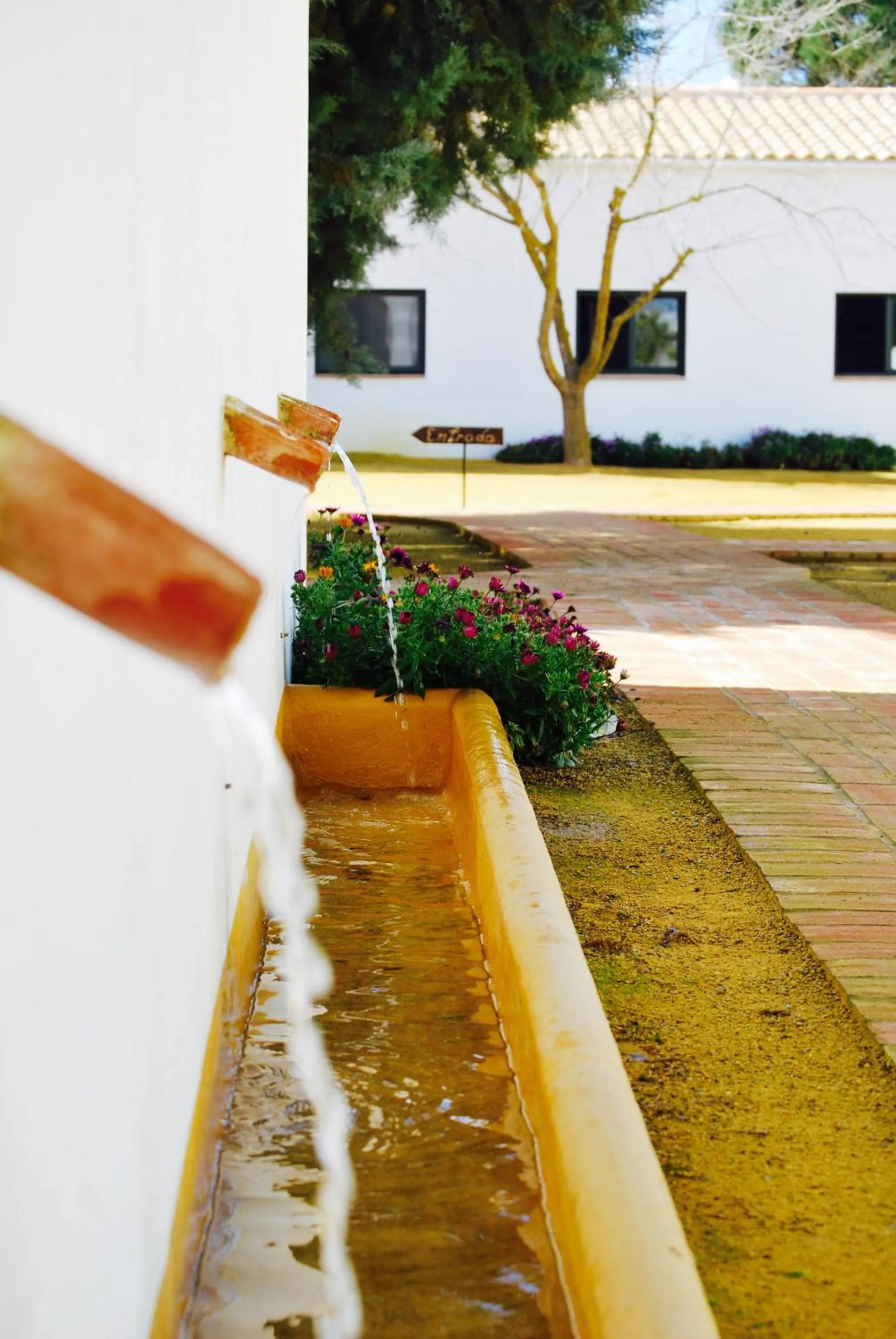 Patio in Cortijo de Vega Grande