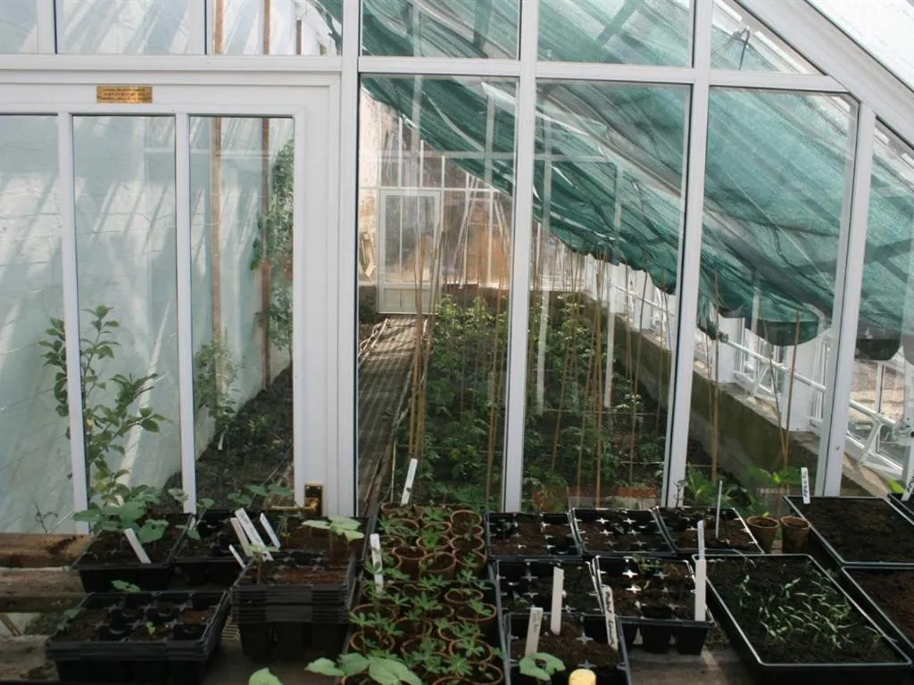 Property building in Burnhopeside Hall