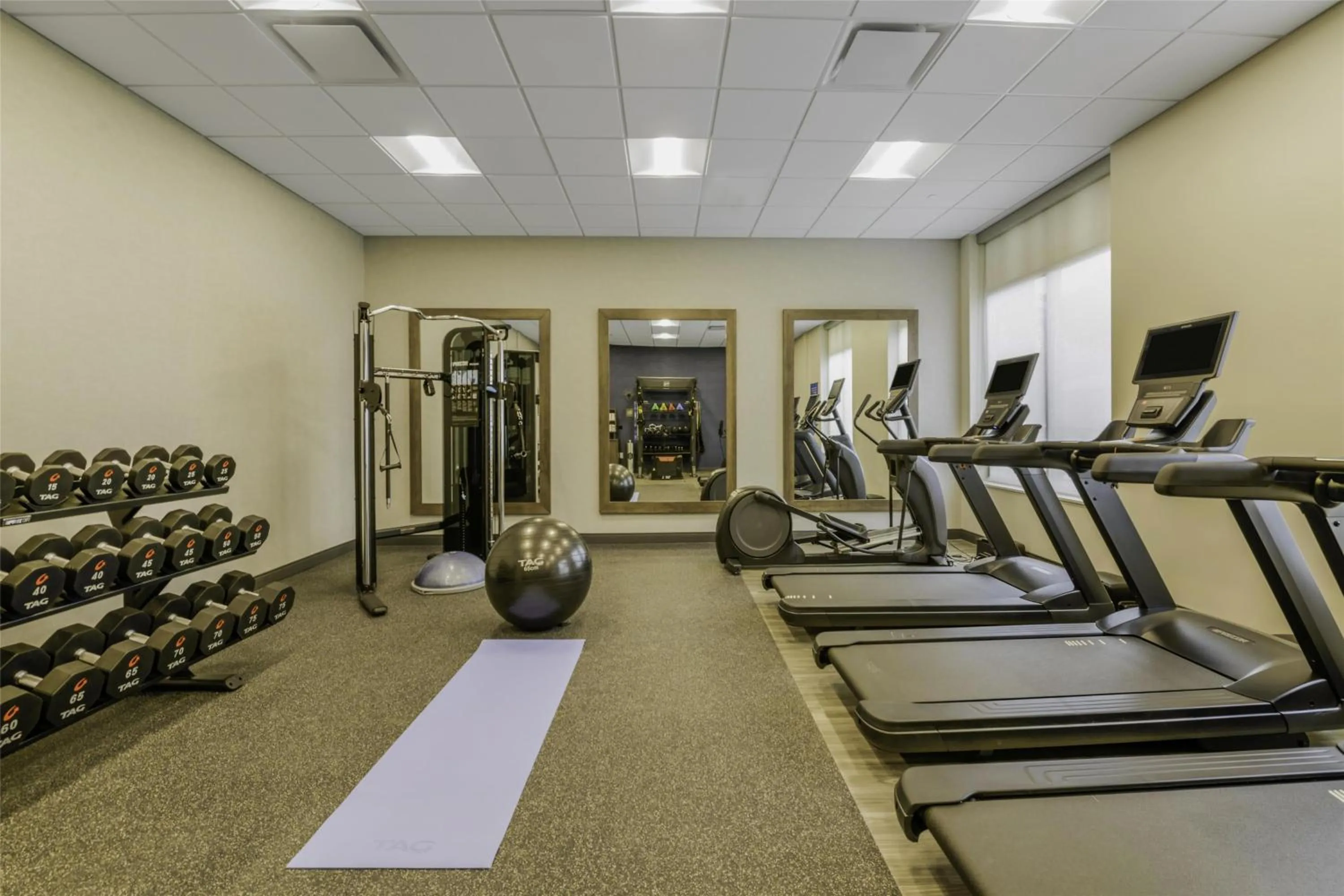 Fitness centre/facilities in Hampton Inn & Suites By Hilton Decatur