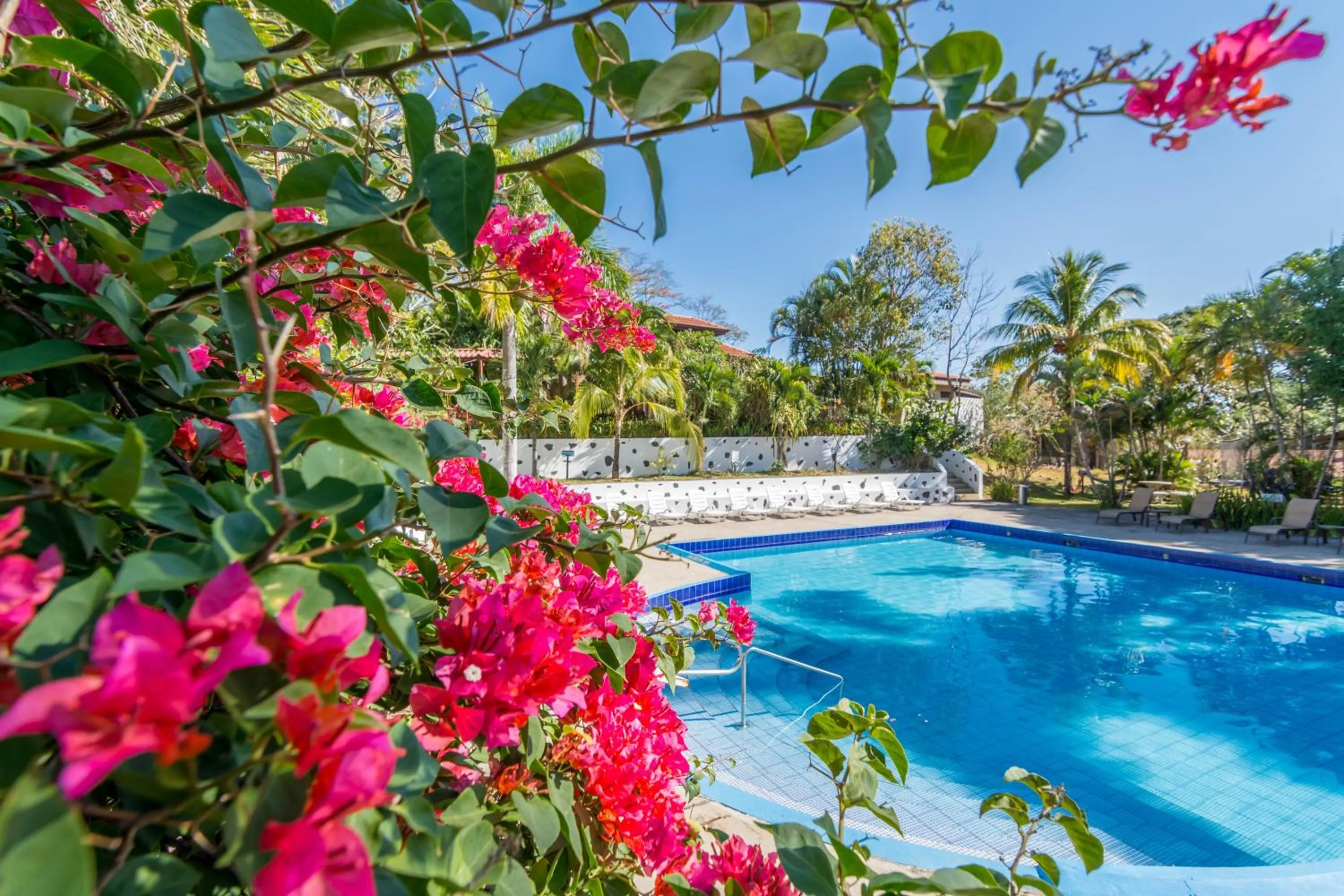 Swimming pool in Hotel Colinas del Sol