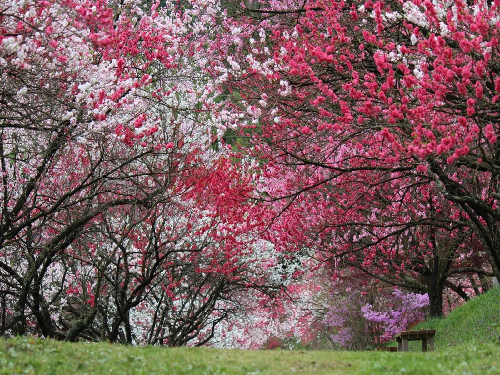 Nearby landmark in Otogitei Kofu