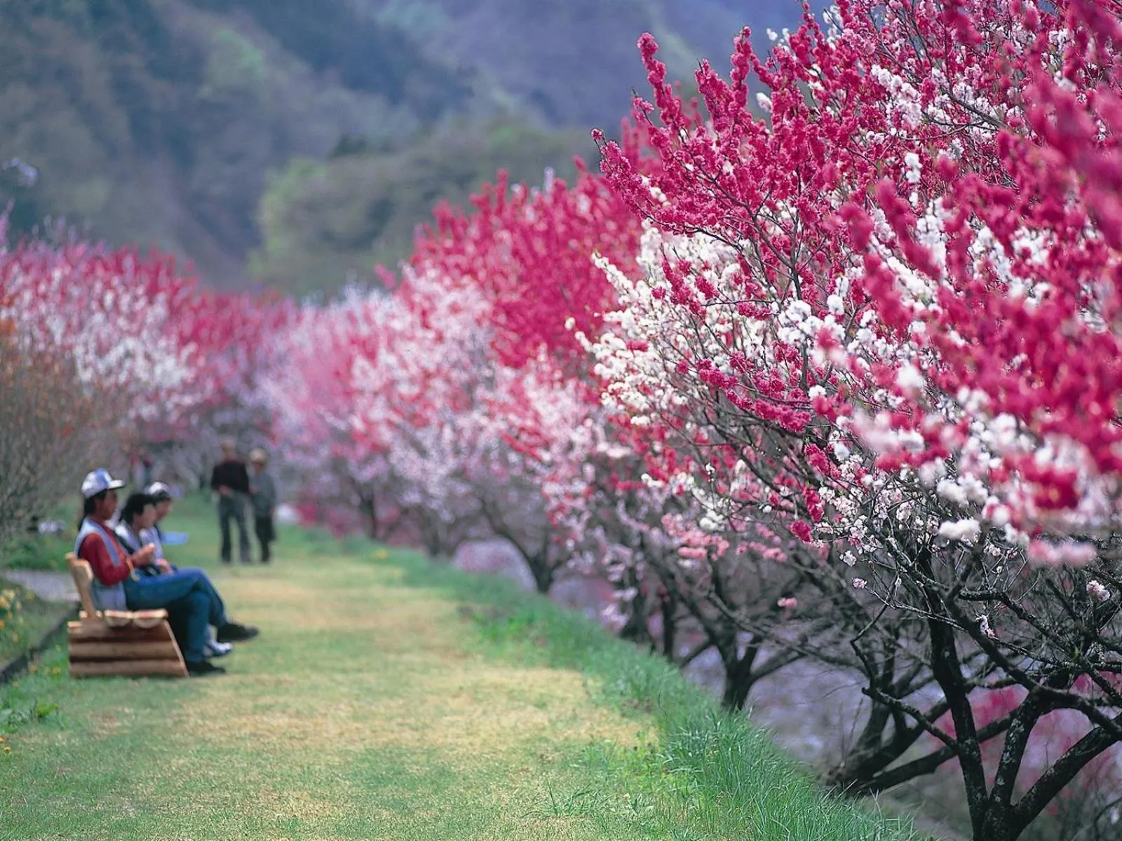Nearby landmark in Otogitei Kofu