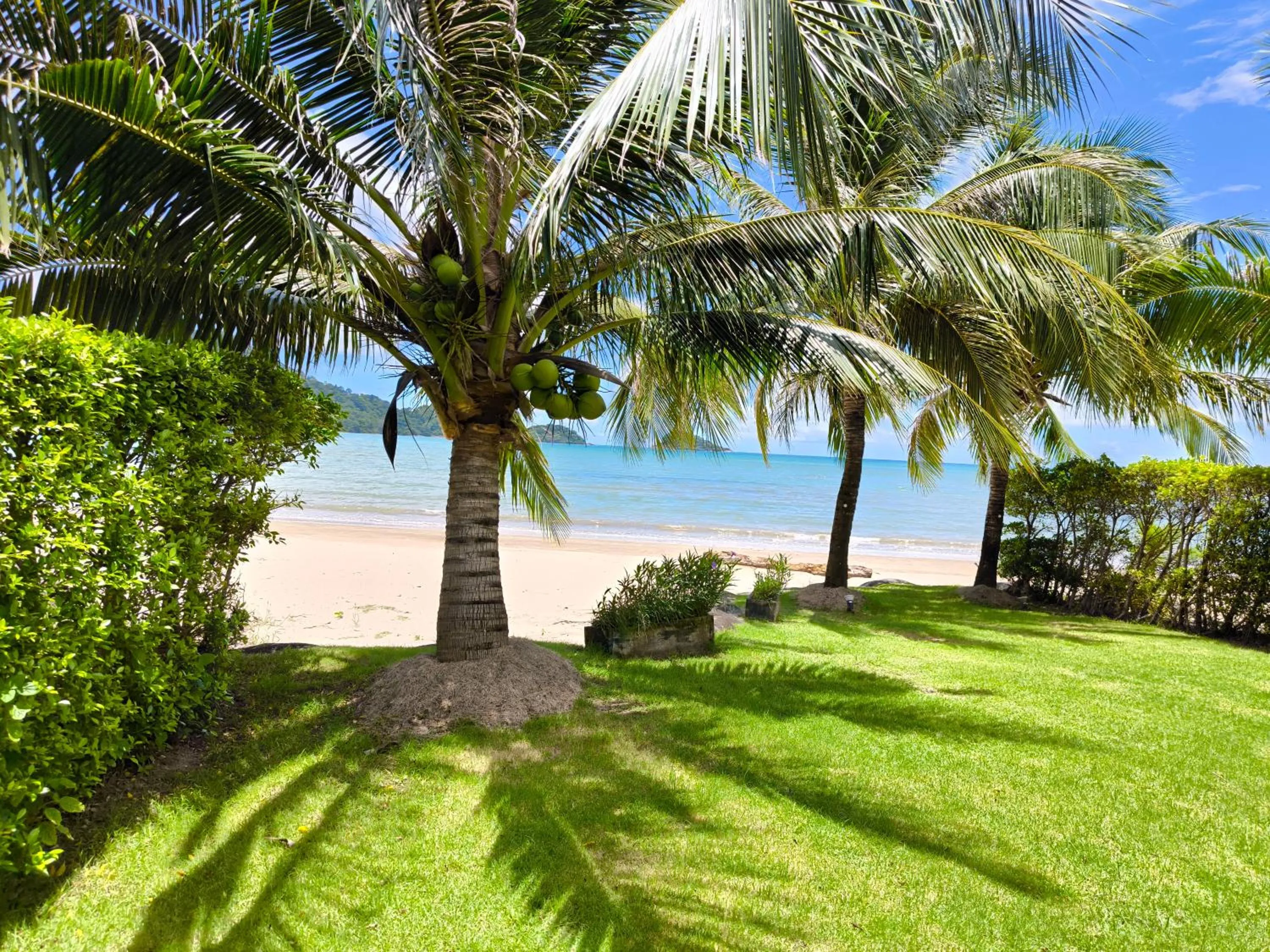 Coffee/tea facilities in Siam Royal View Resort Apartments