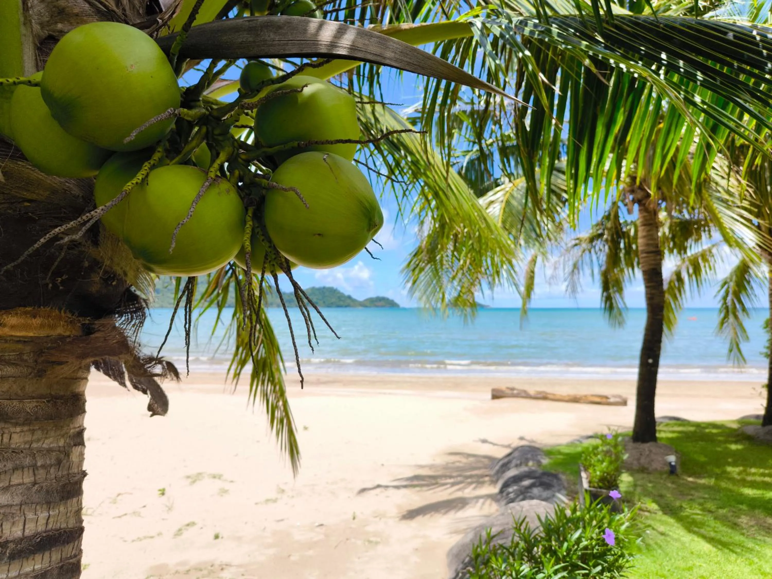 Beach in Siam Royal View Resort Apartments