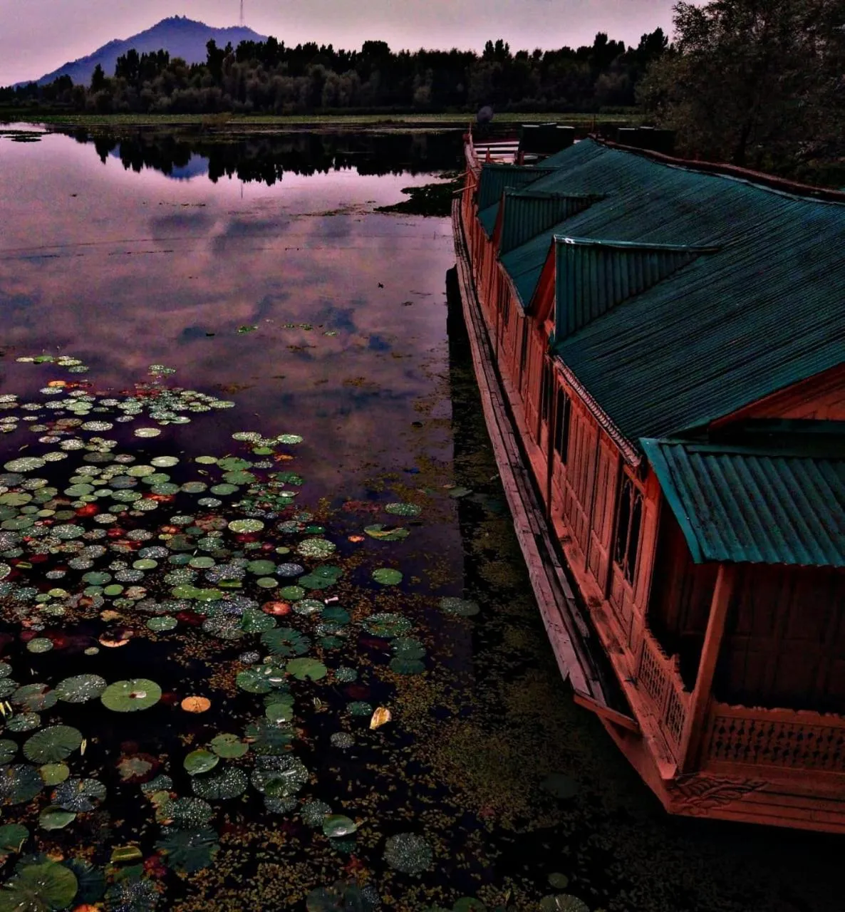 Bird's eye view in Kings Houseboats