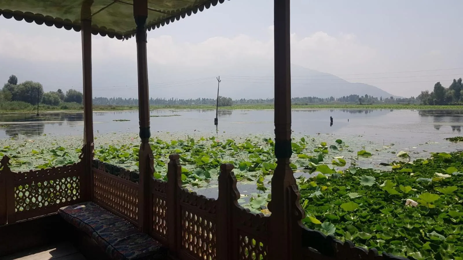 View (from property/room) in Kings Houseboats