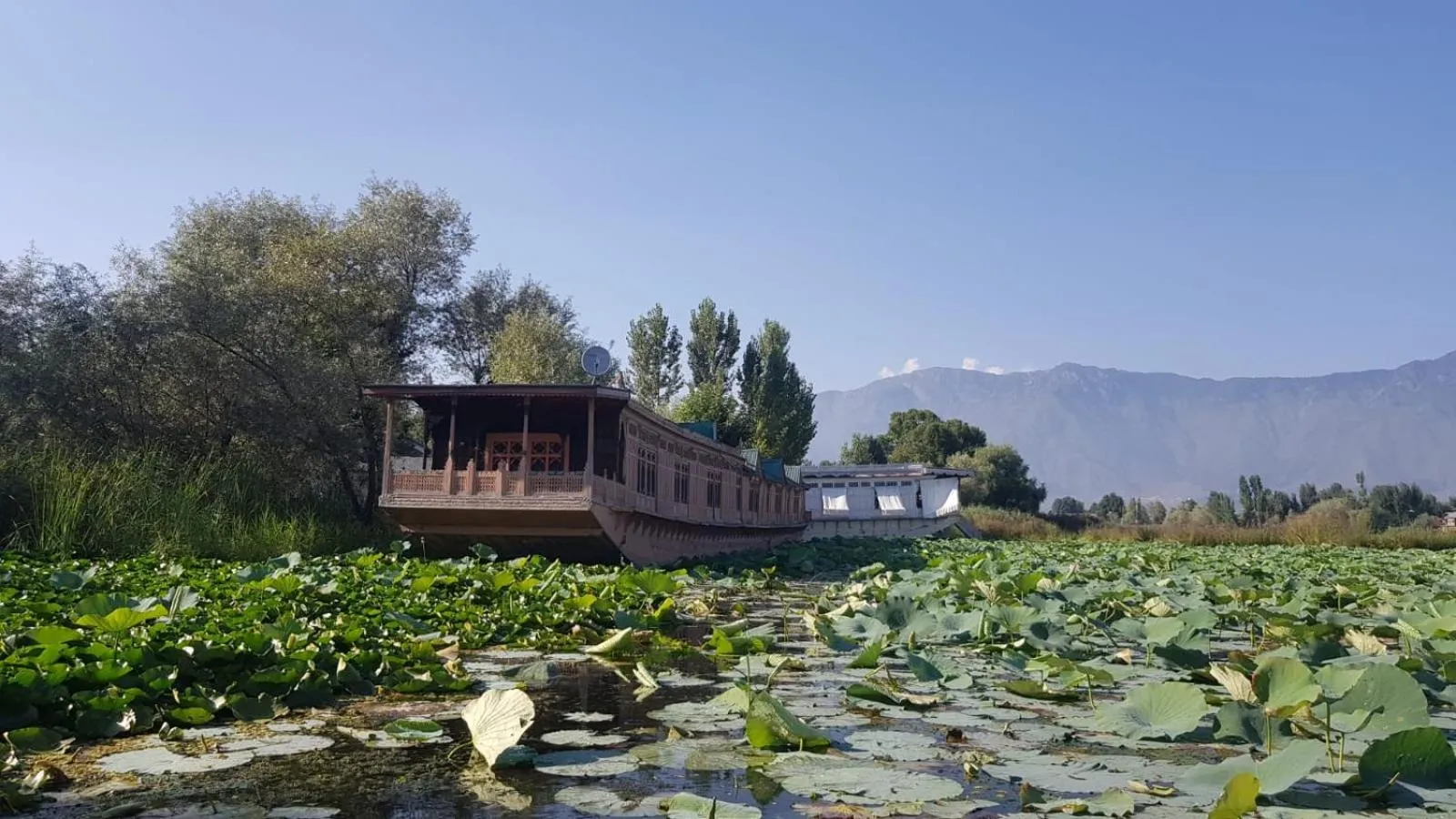 View (from property/room) in Kings Houseboats