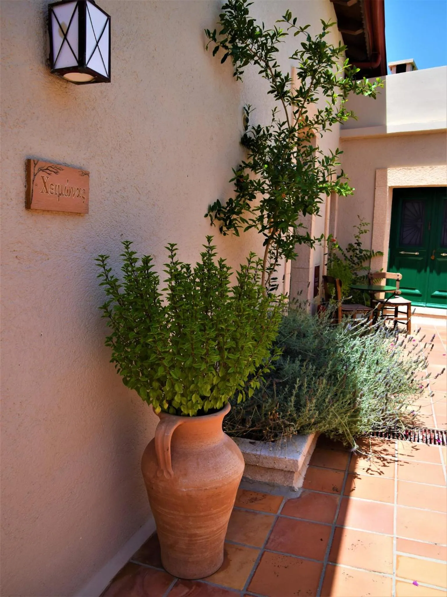 Garden in Villa Archanes