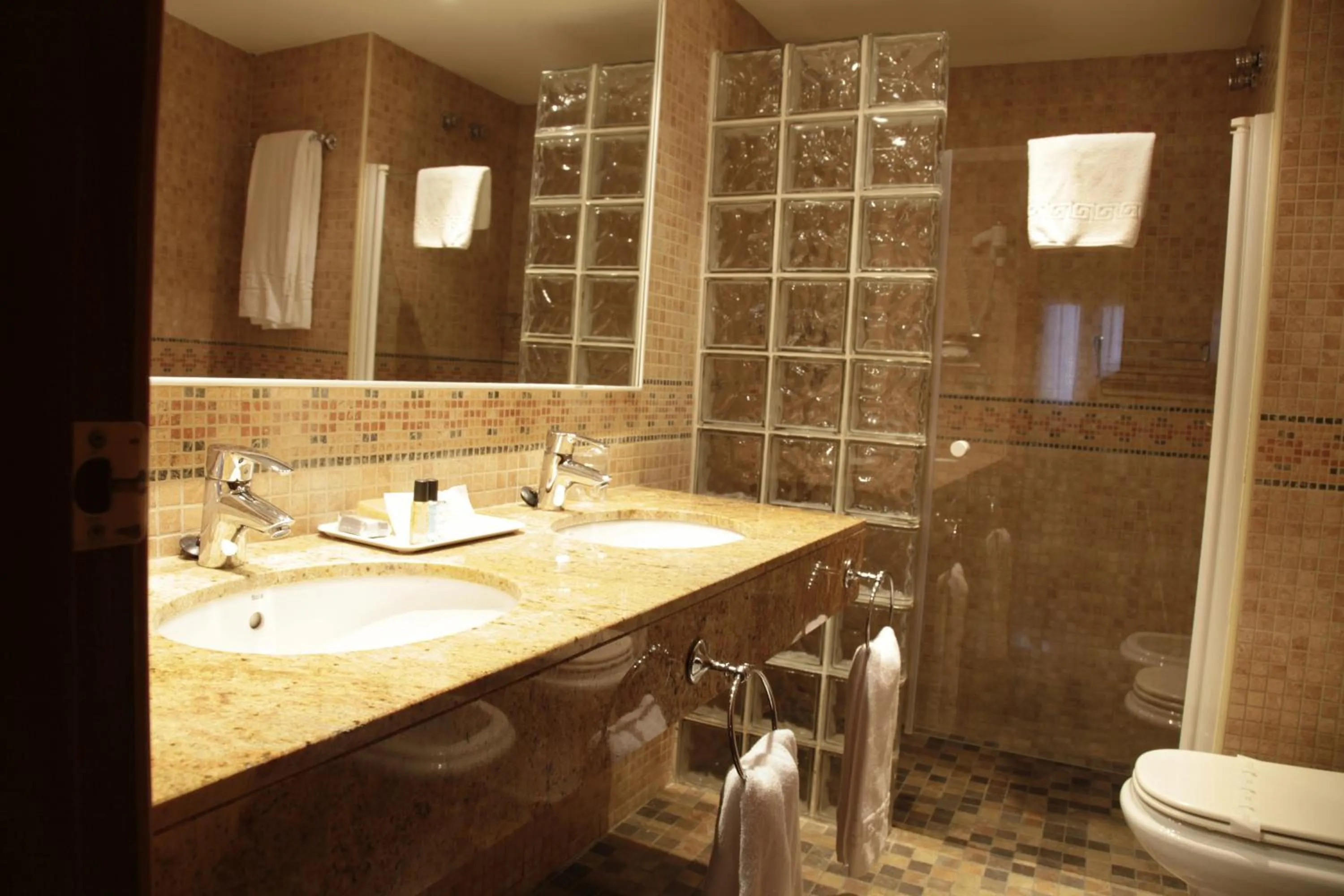 Bathroom in Hotel Iris