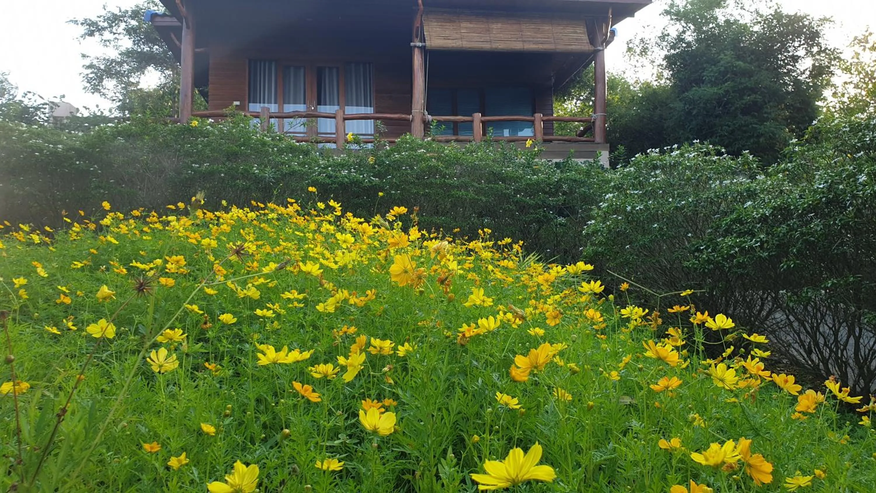 Esmeralda View Resort - SHA Extra Plus