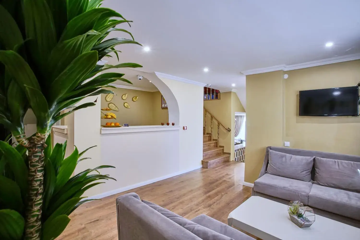 Jasmine Hotel Jasmine Hotel