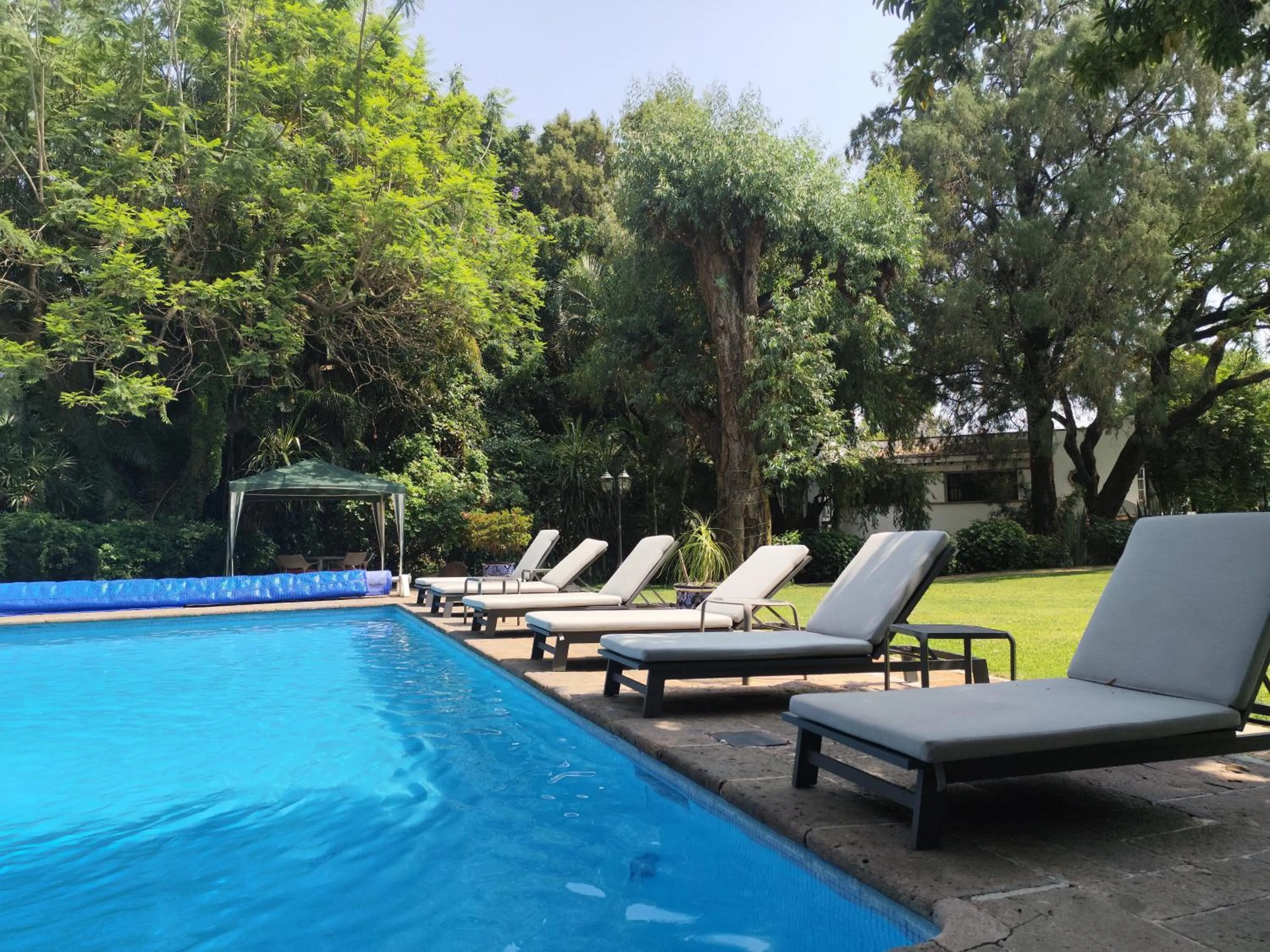 Spring in Casa de las Conchas Cuernavaca