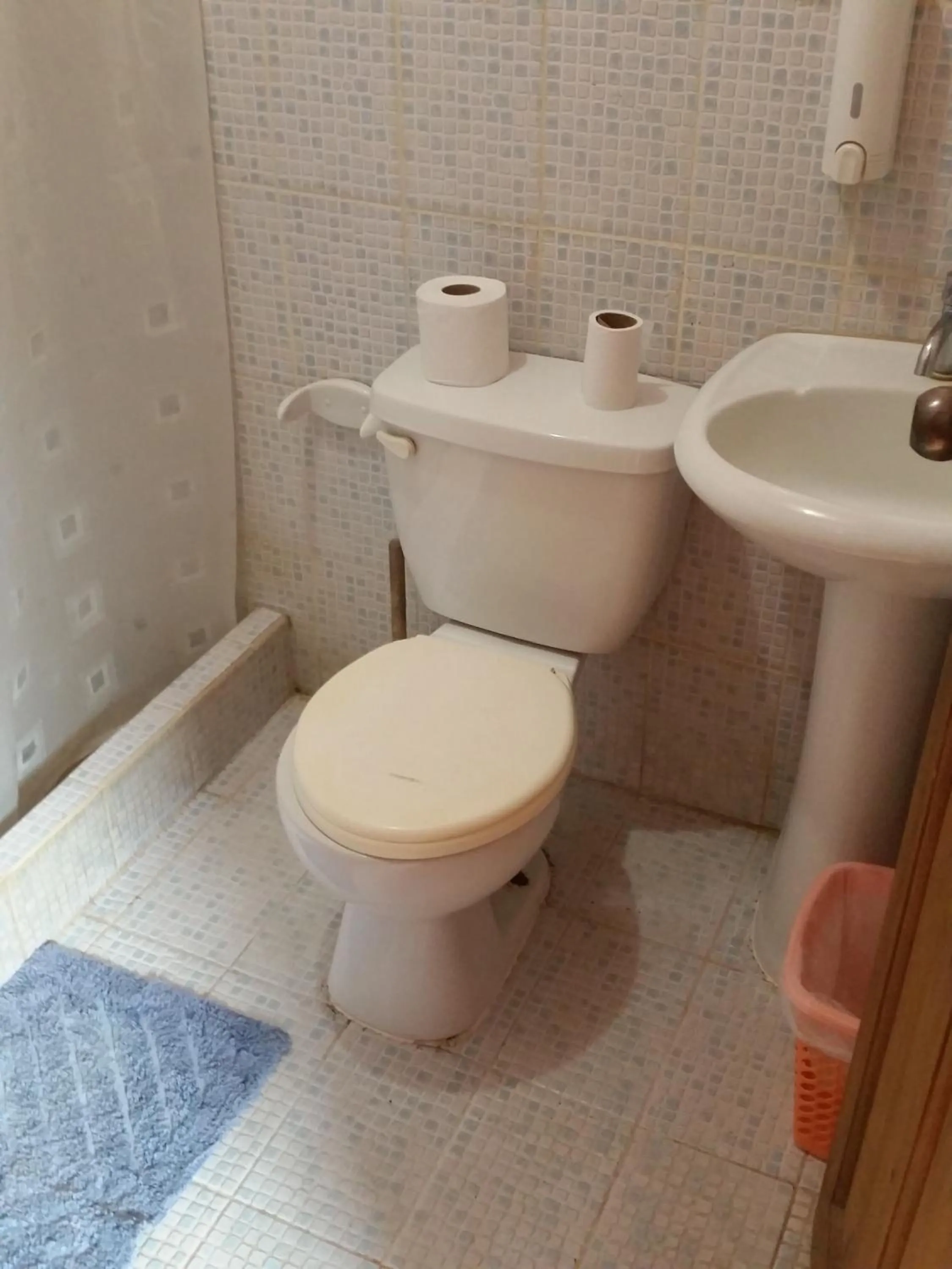 Toilet in Hotel Cabinas Mar Y Cielo