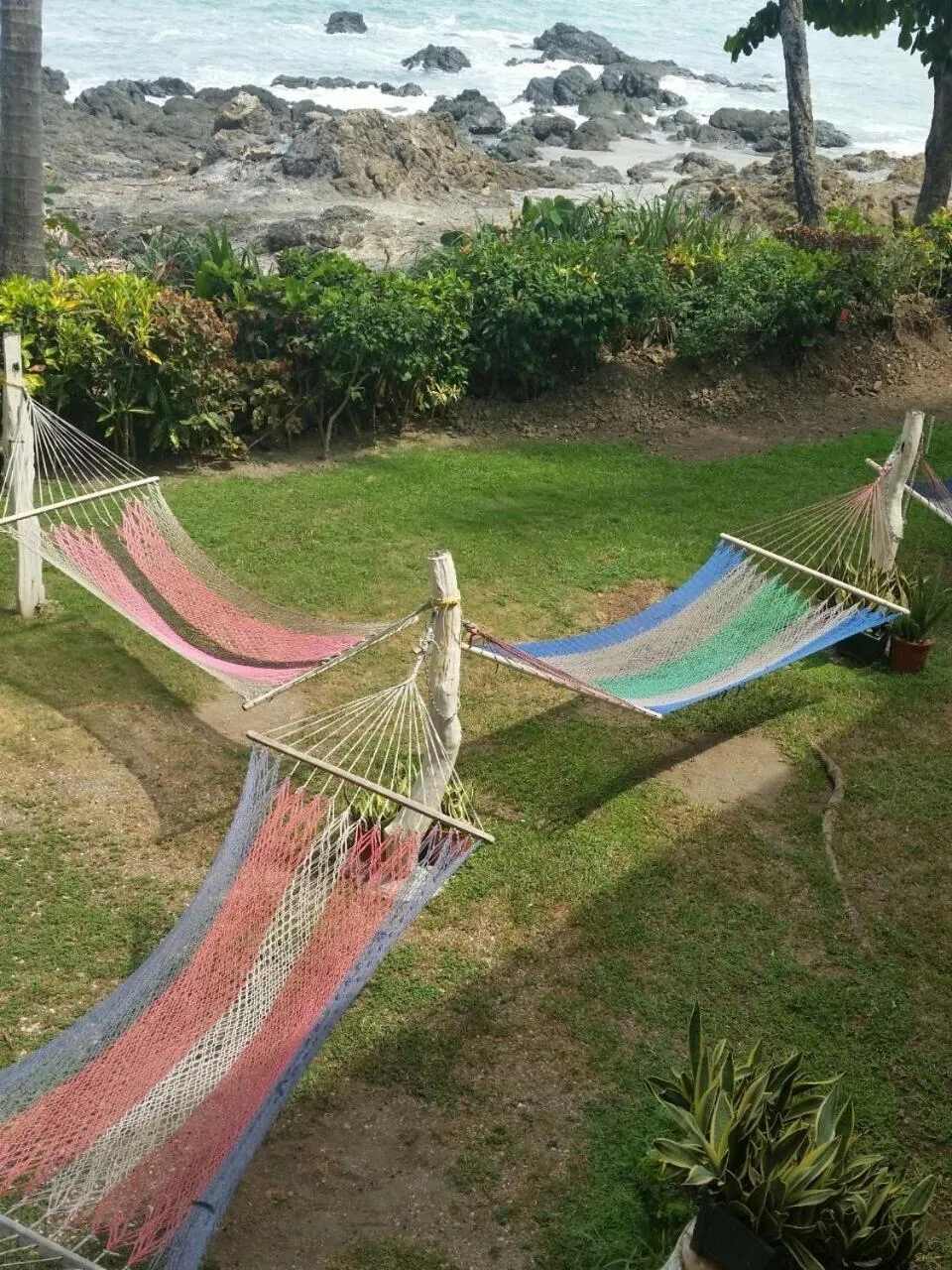 Garden in Hotel Cabinas Mar Y Cielo