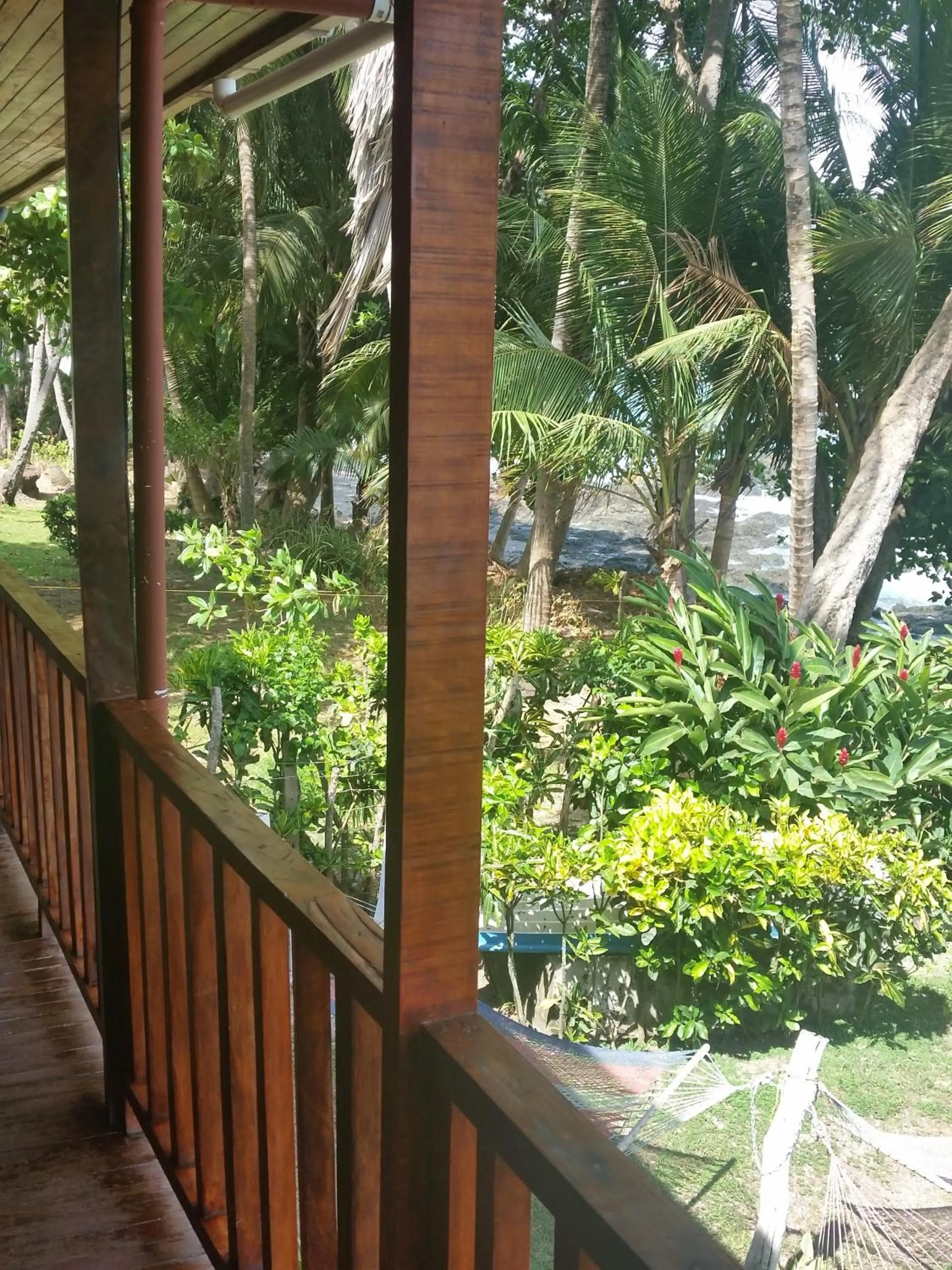 Garden in Hotel Cabinas Mar Y Cielo