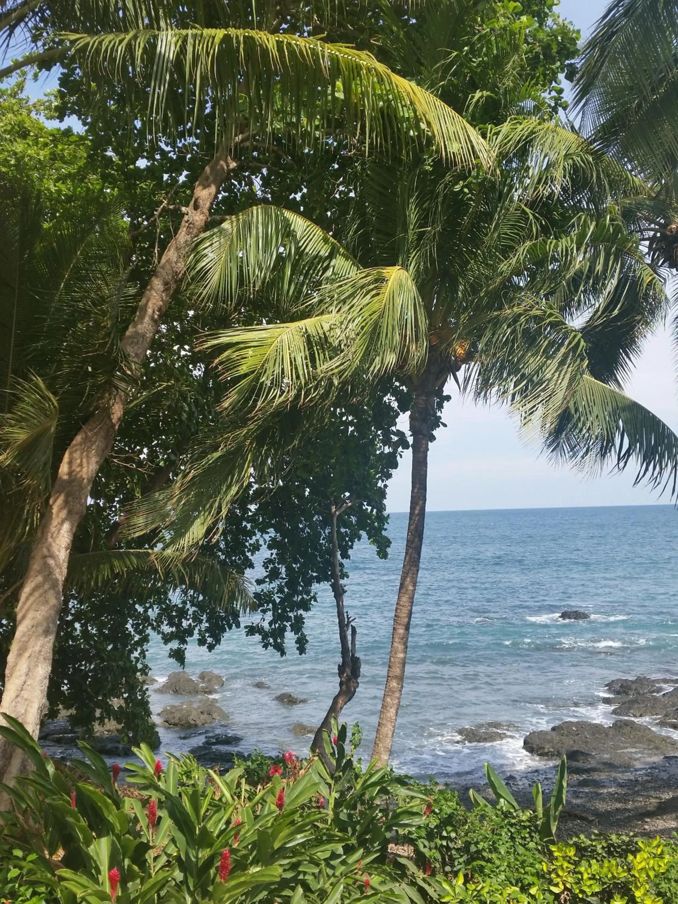 Sea view in Hotel Cabinas Mar Y Cielo
