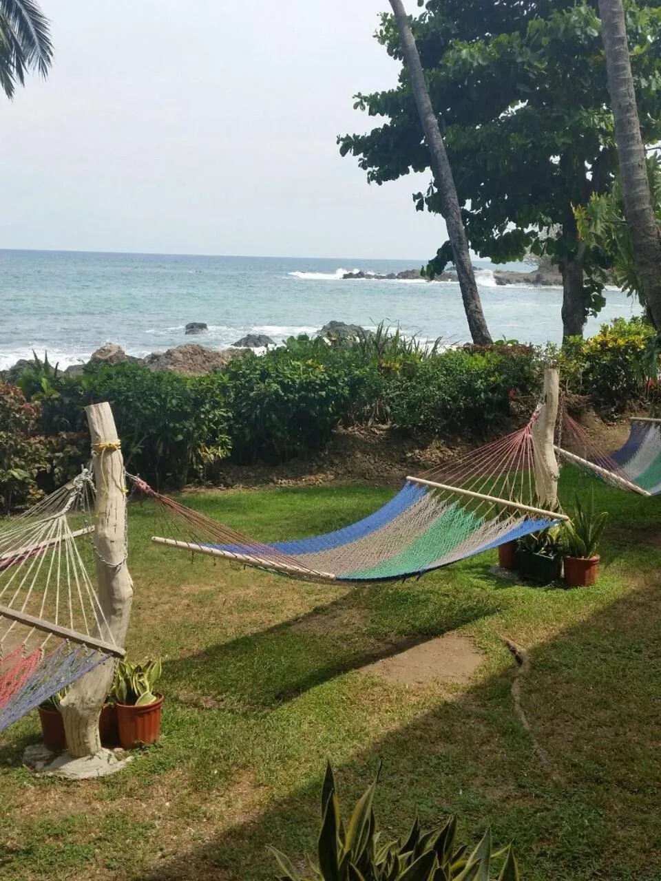 Garden in Hotel Cabinas Mar Y Cielo