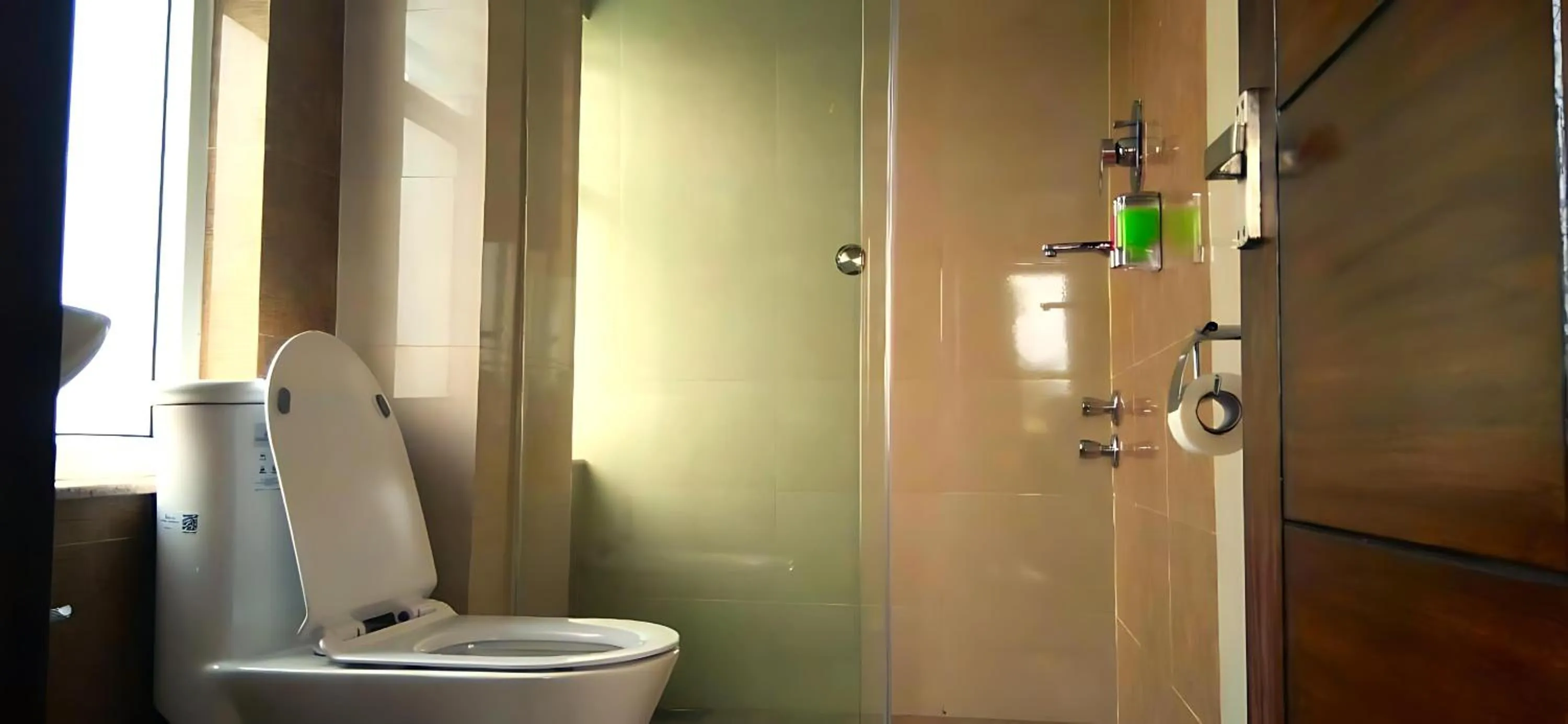 Bathroom in Hotel Sherpani