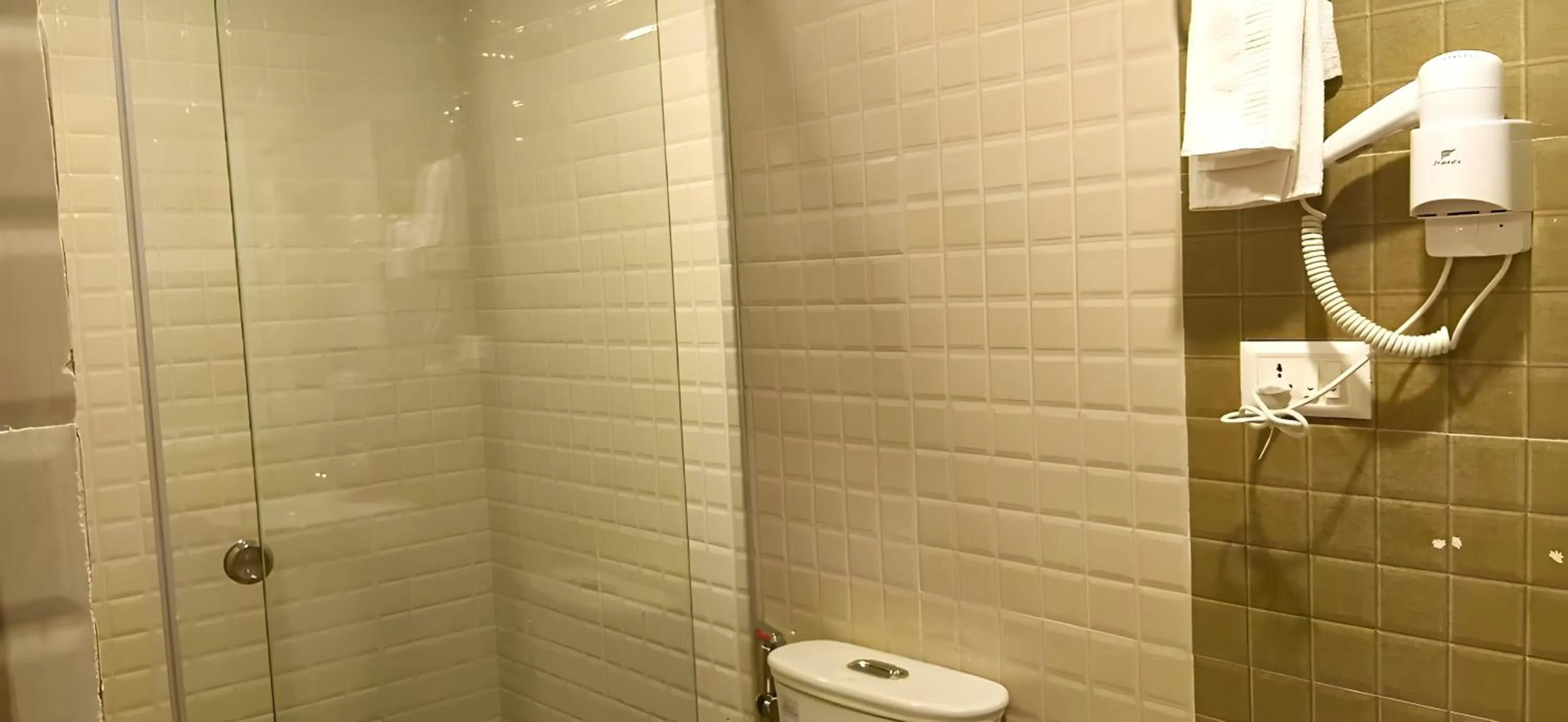 Shower in Hotel Sherpani