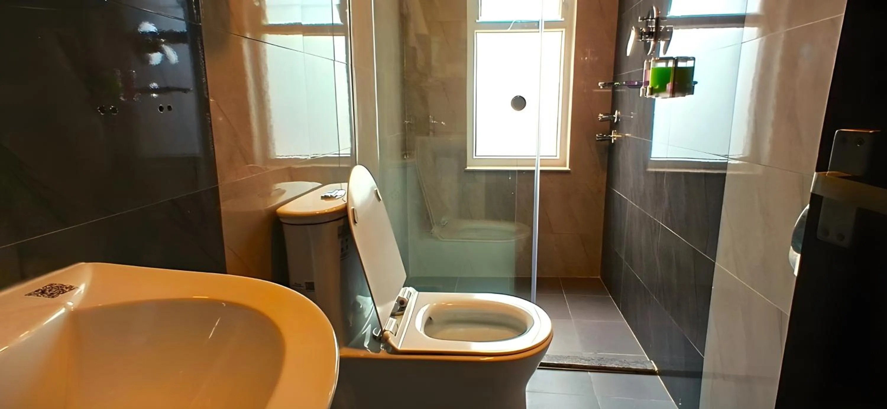 Bathroom in Hotel Sherpani