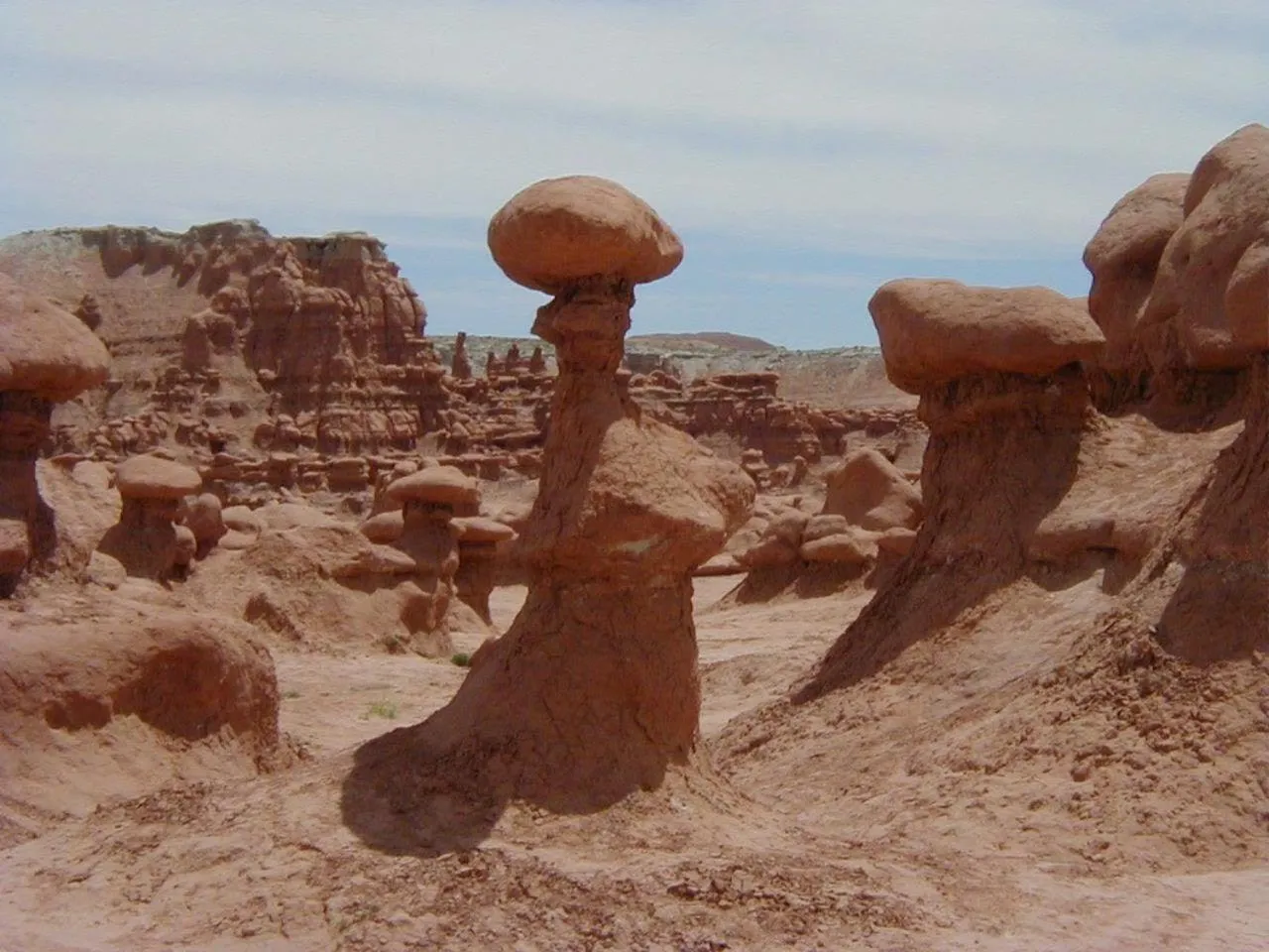 Nearby landmark in River Terrace Inn