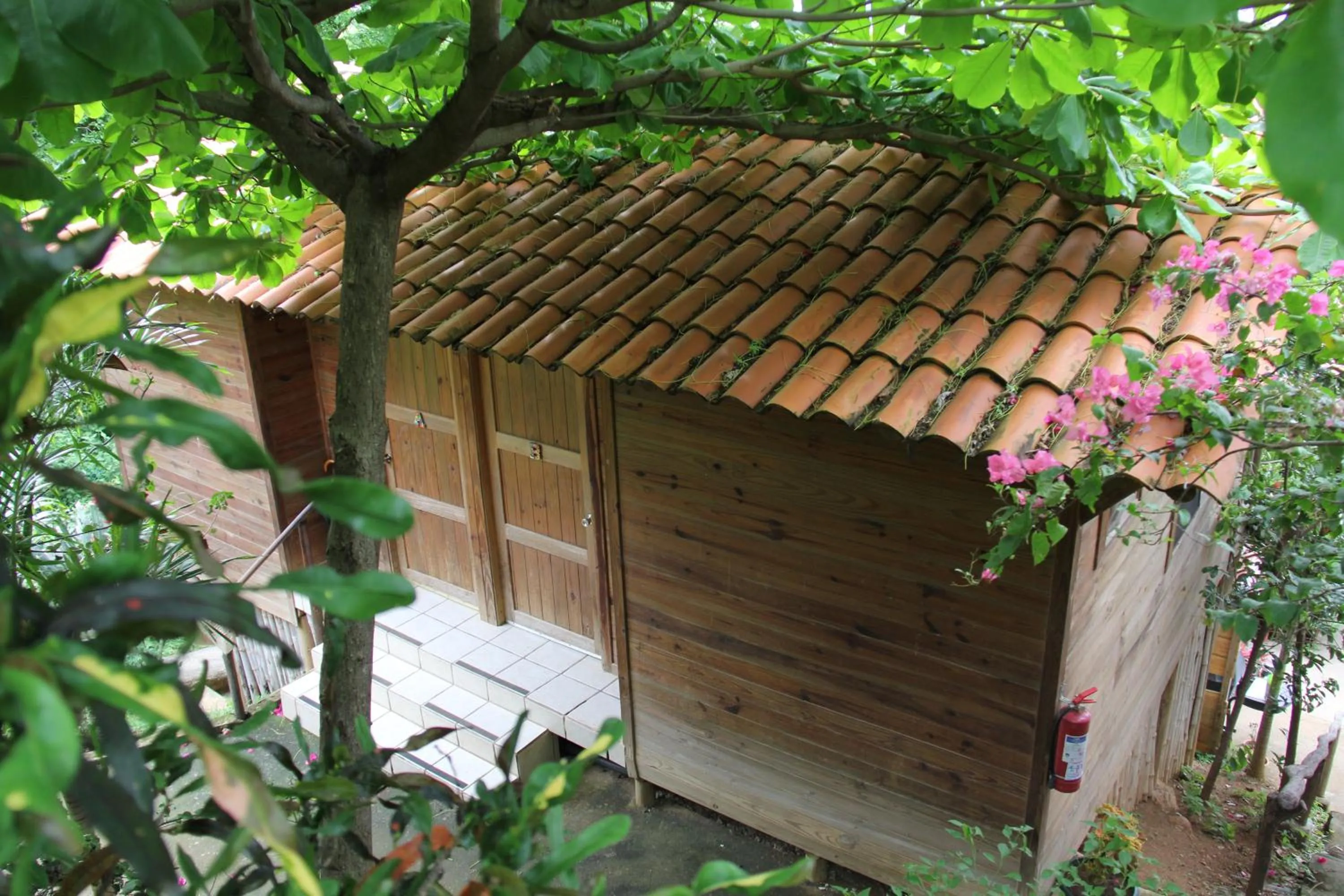 Garden in Blue Dream Kite Boarding Resort Costa Rica