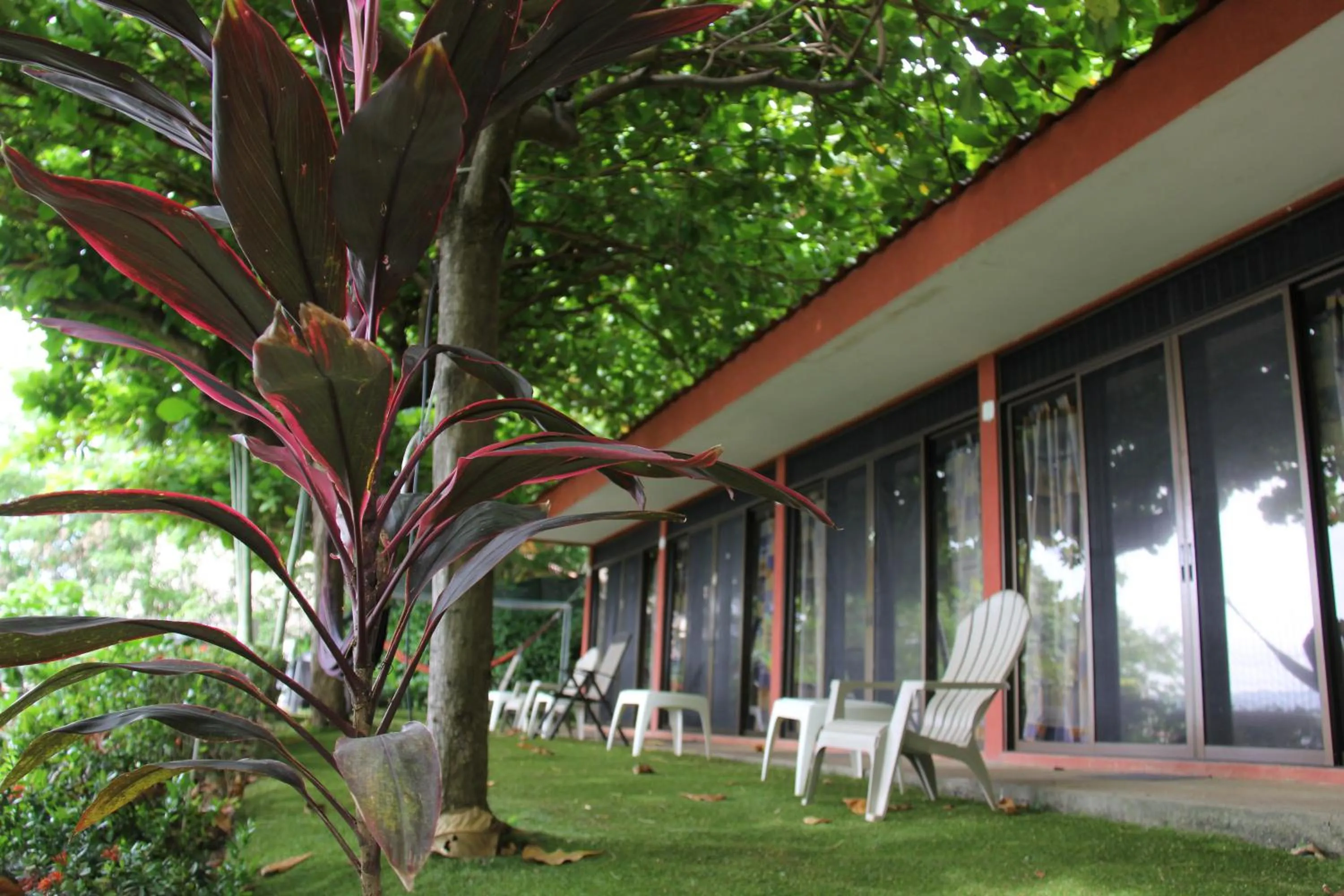 Balcony/Terrace in Blue Dream Kite Boarding Resort Costa Rica