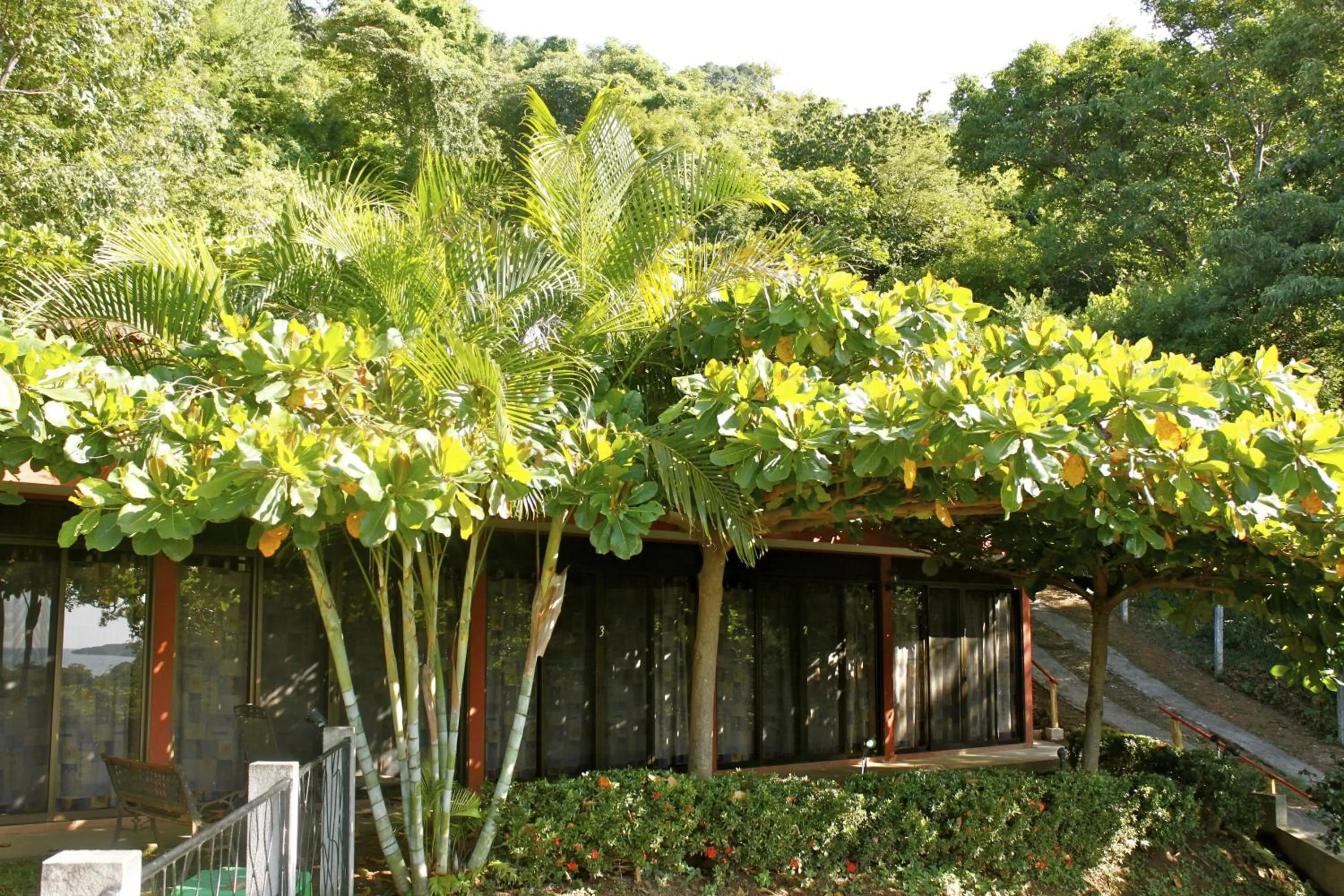 View (from property/room) in Blue Dream Kite Boarding Resort Costa Rica