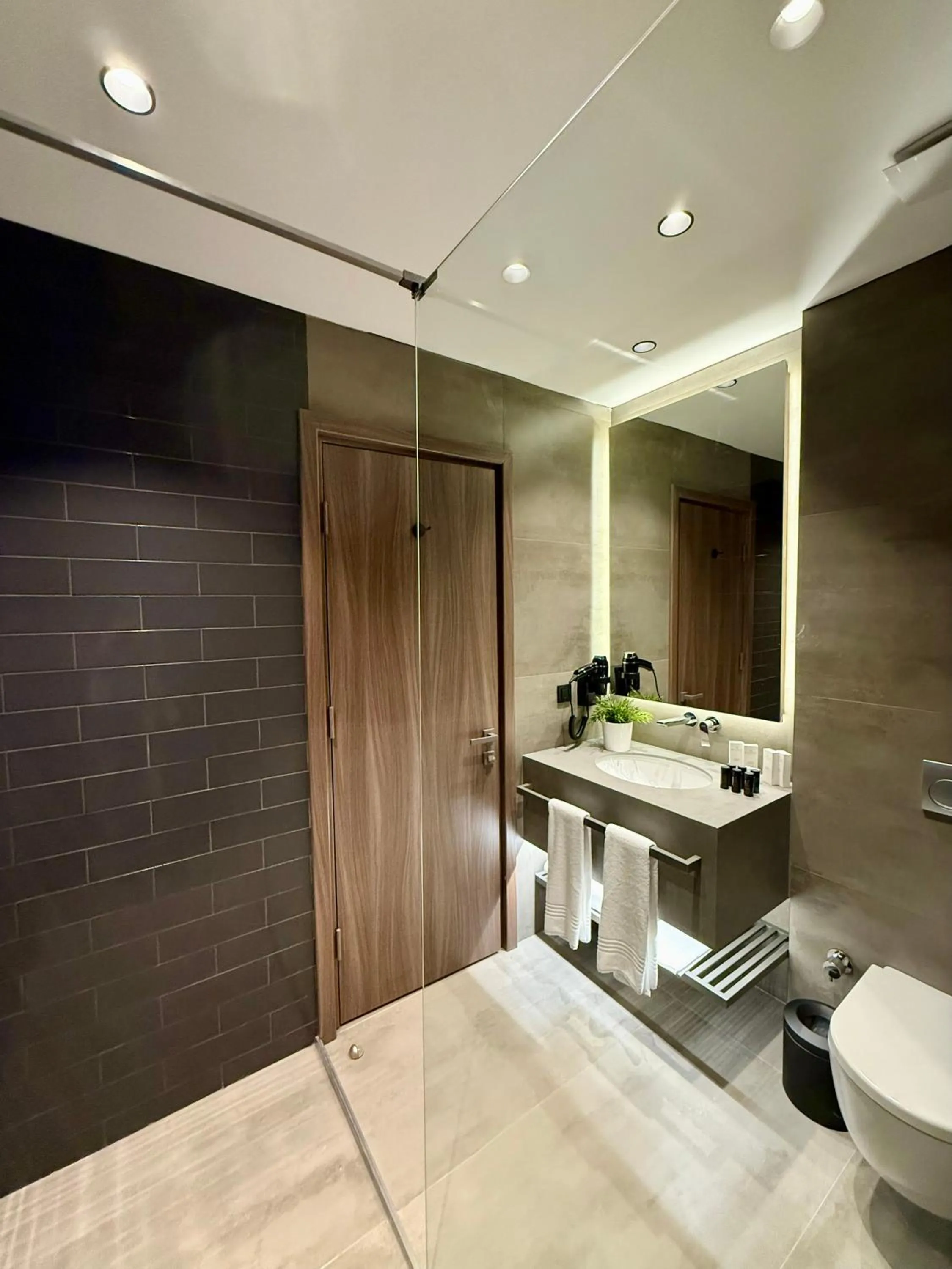 Toilet in Cityloft 147