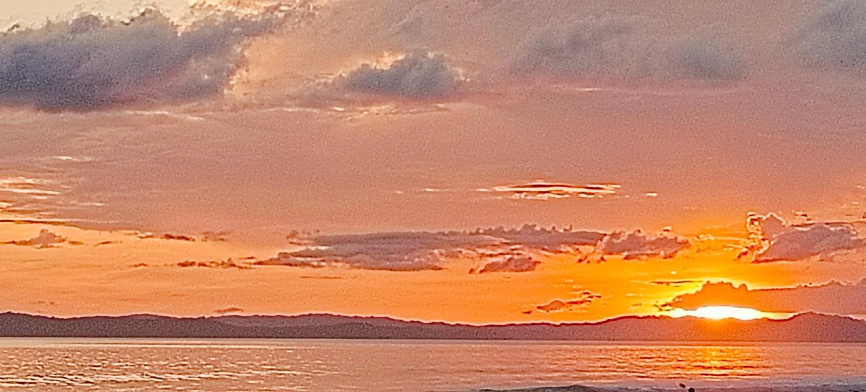 Natural landscape in Arina Island Resort - A Bergamont Hotel, Havelock