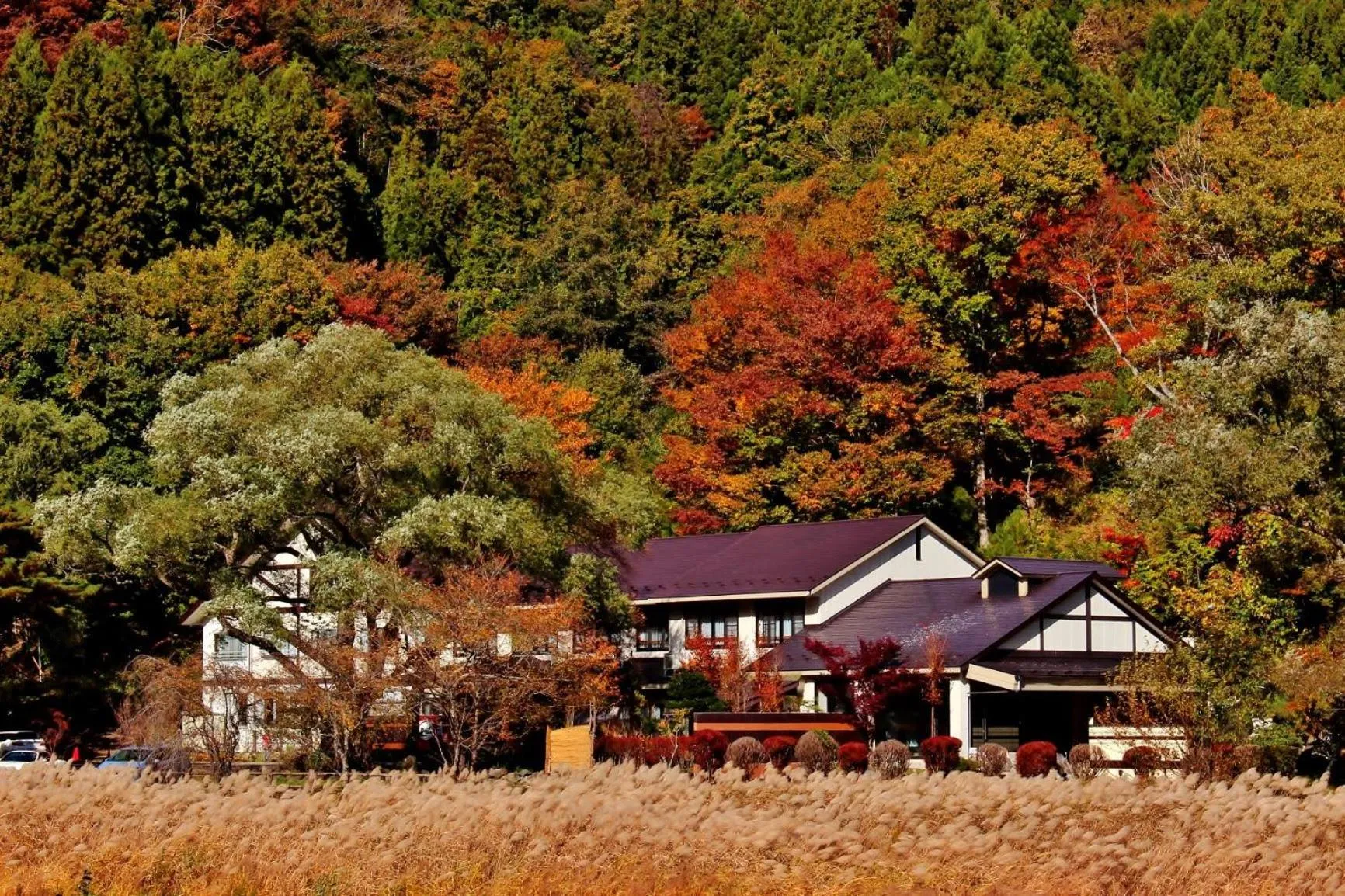Property building in Akasawa Onsen Ryokan