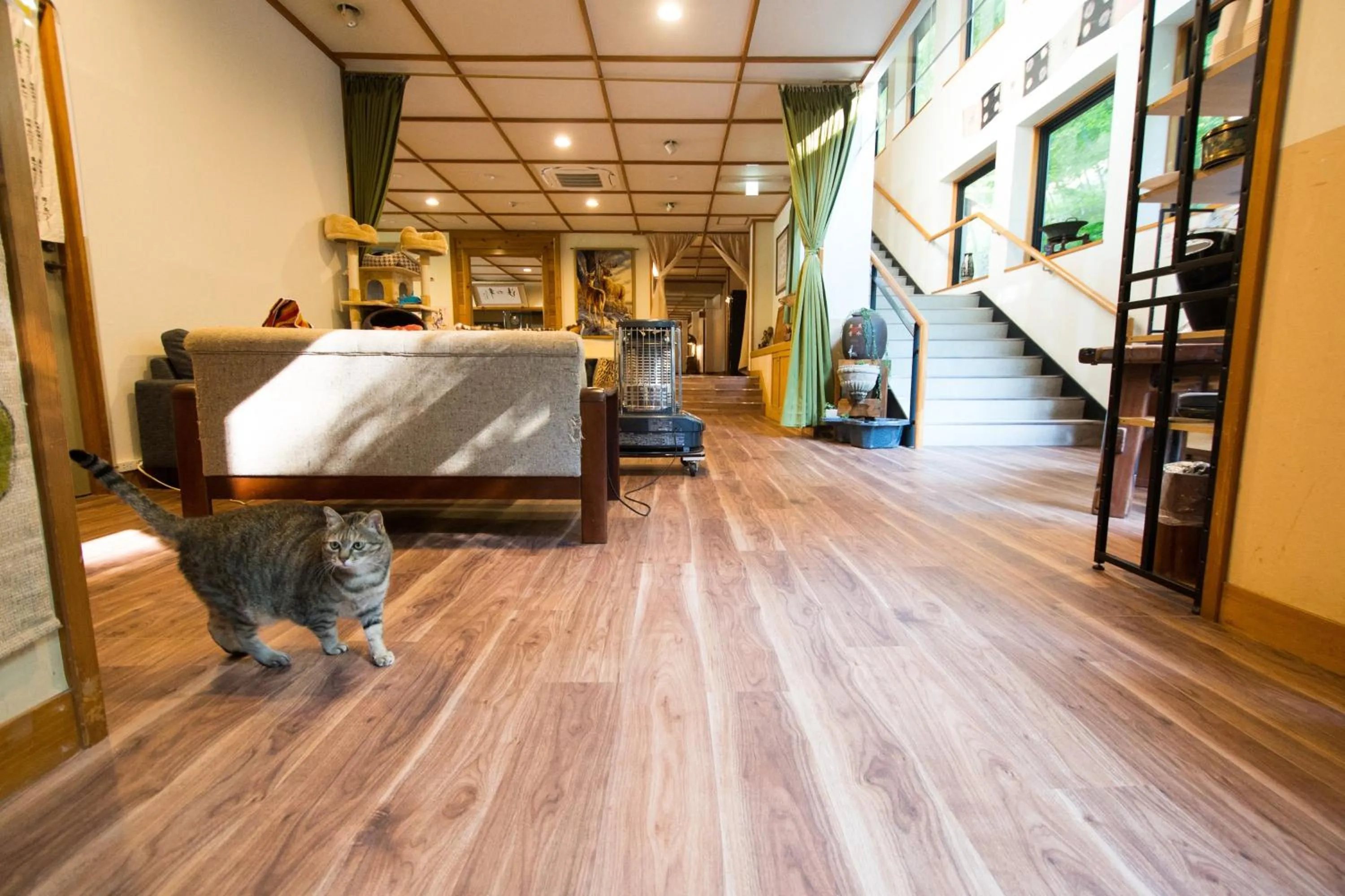 Lobby or reception, Bed in Akasawa Onsen Ryokan