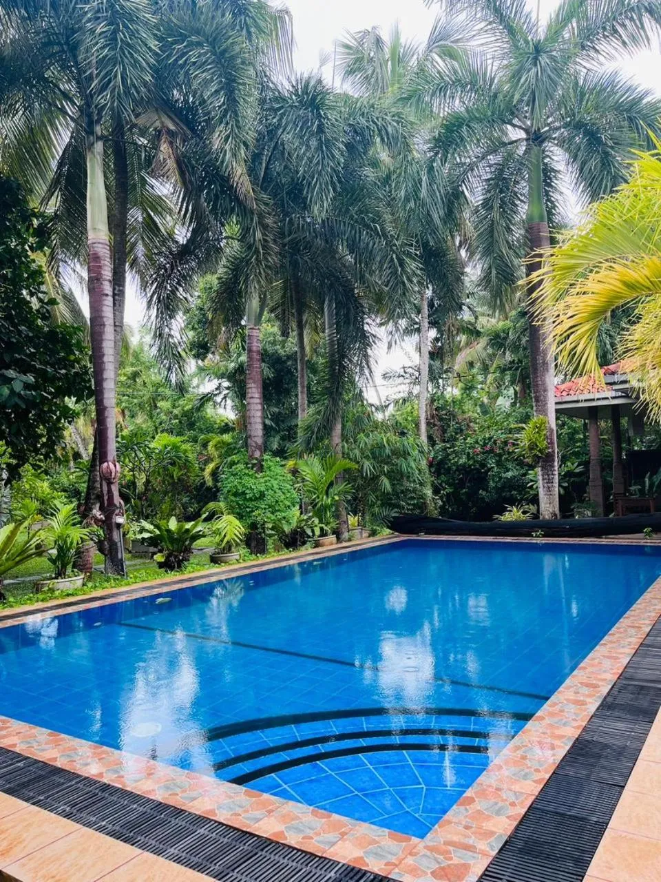 Swimming pool in Pavana Hotel