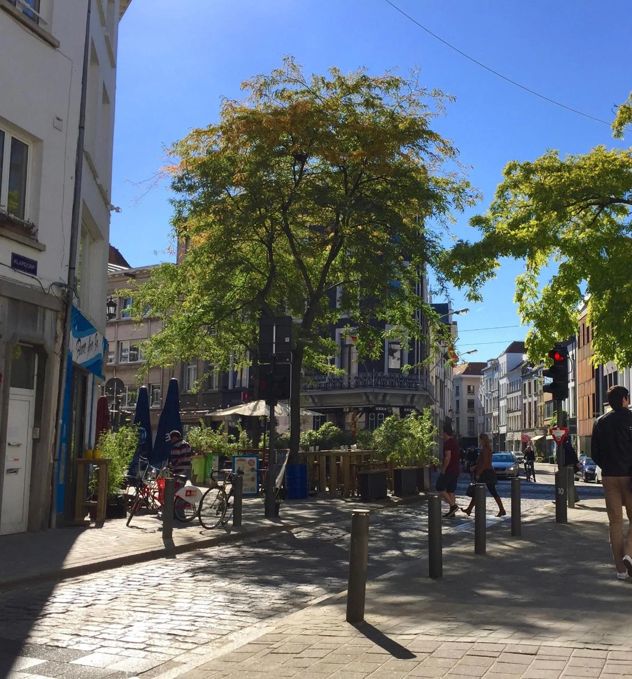 Neighbourhood in B&B Lucy in the Sky