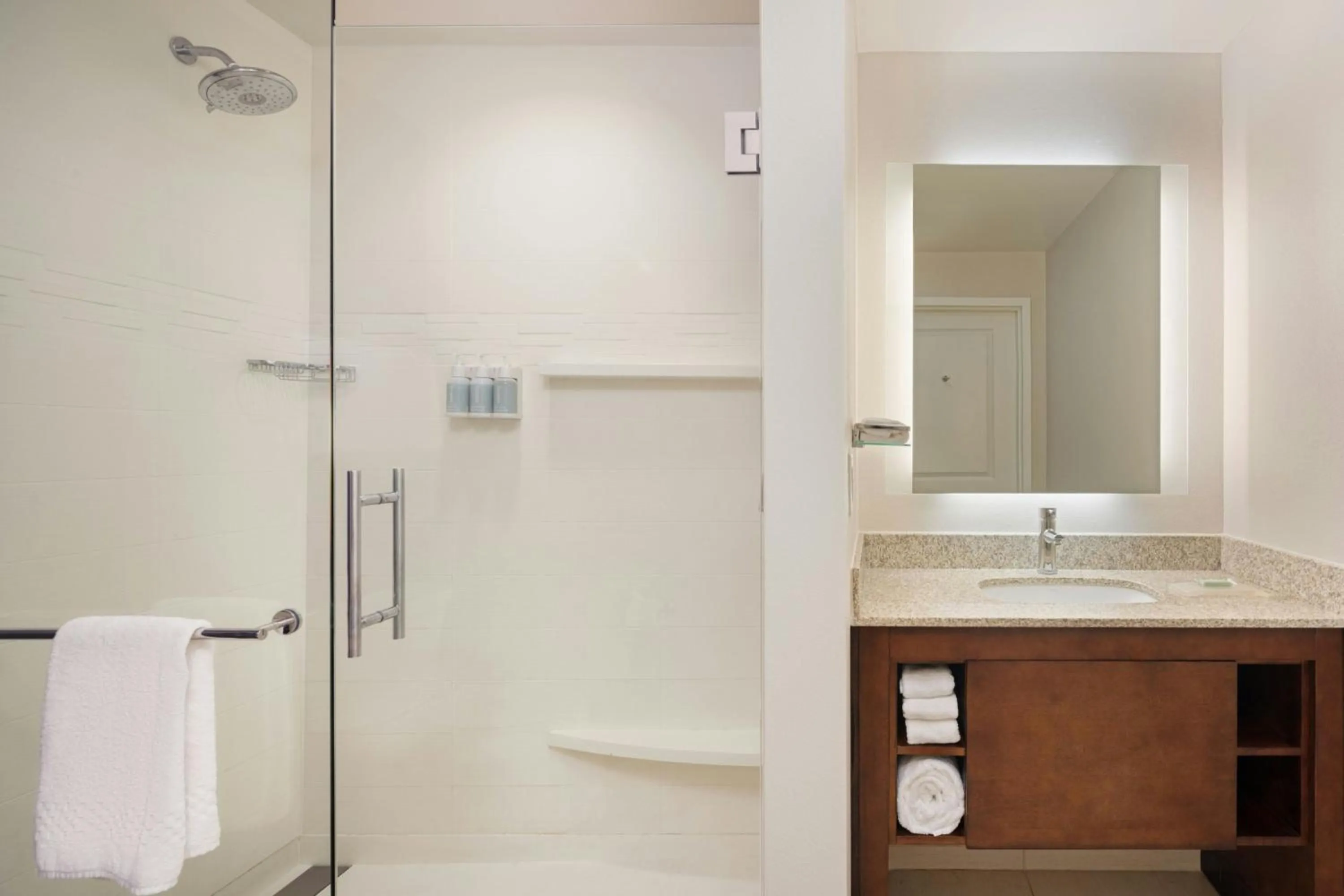 Bathroom in Residence Inn by Marriott Orlando Downtown