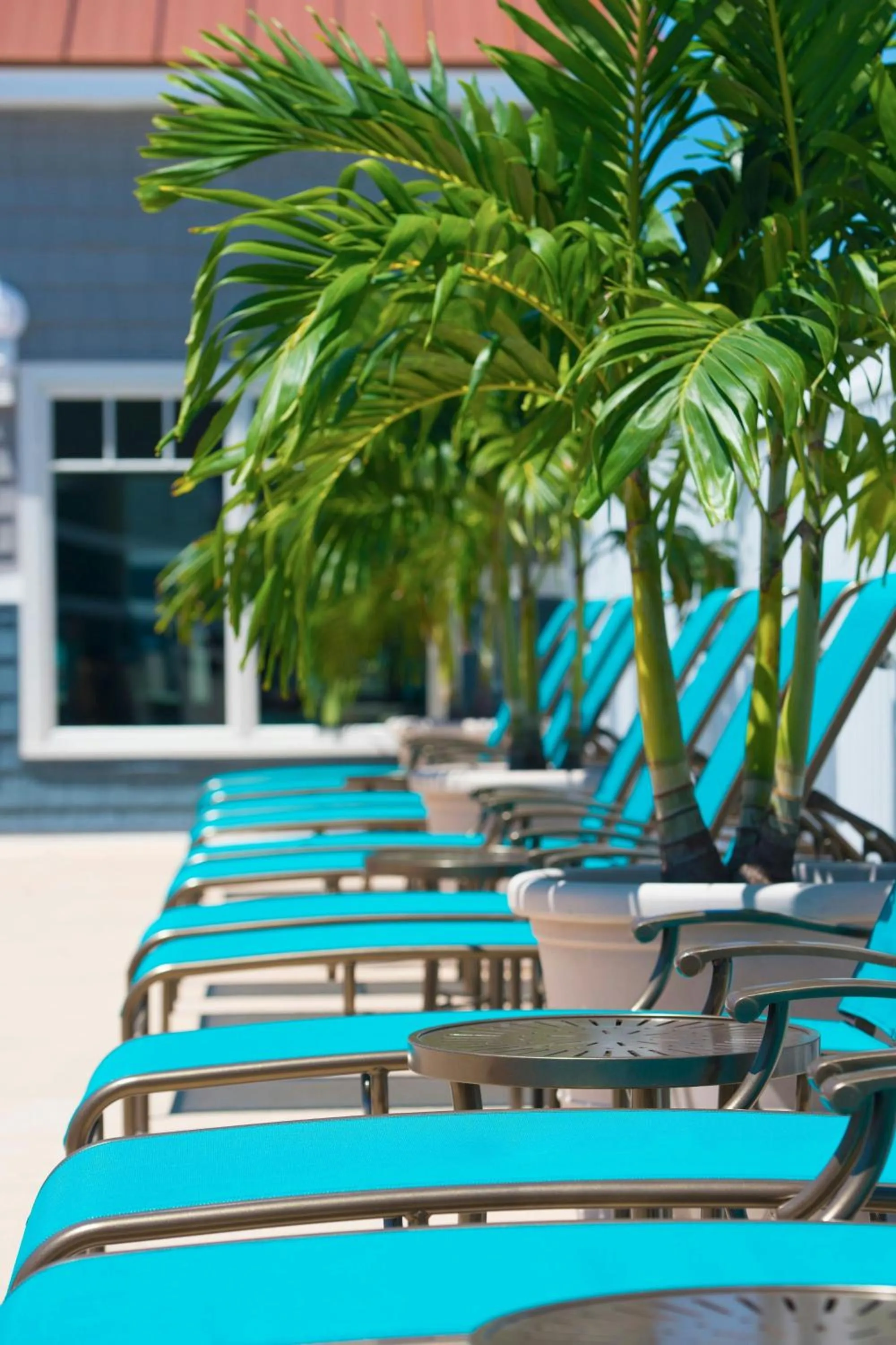 Swimming pool in Bethany Beach Ocean Suites Residence Inn by Marriott