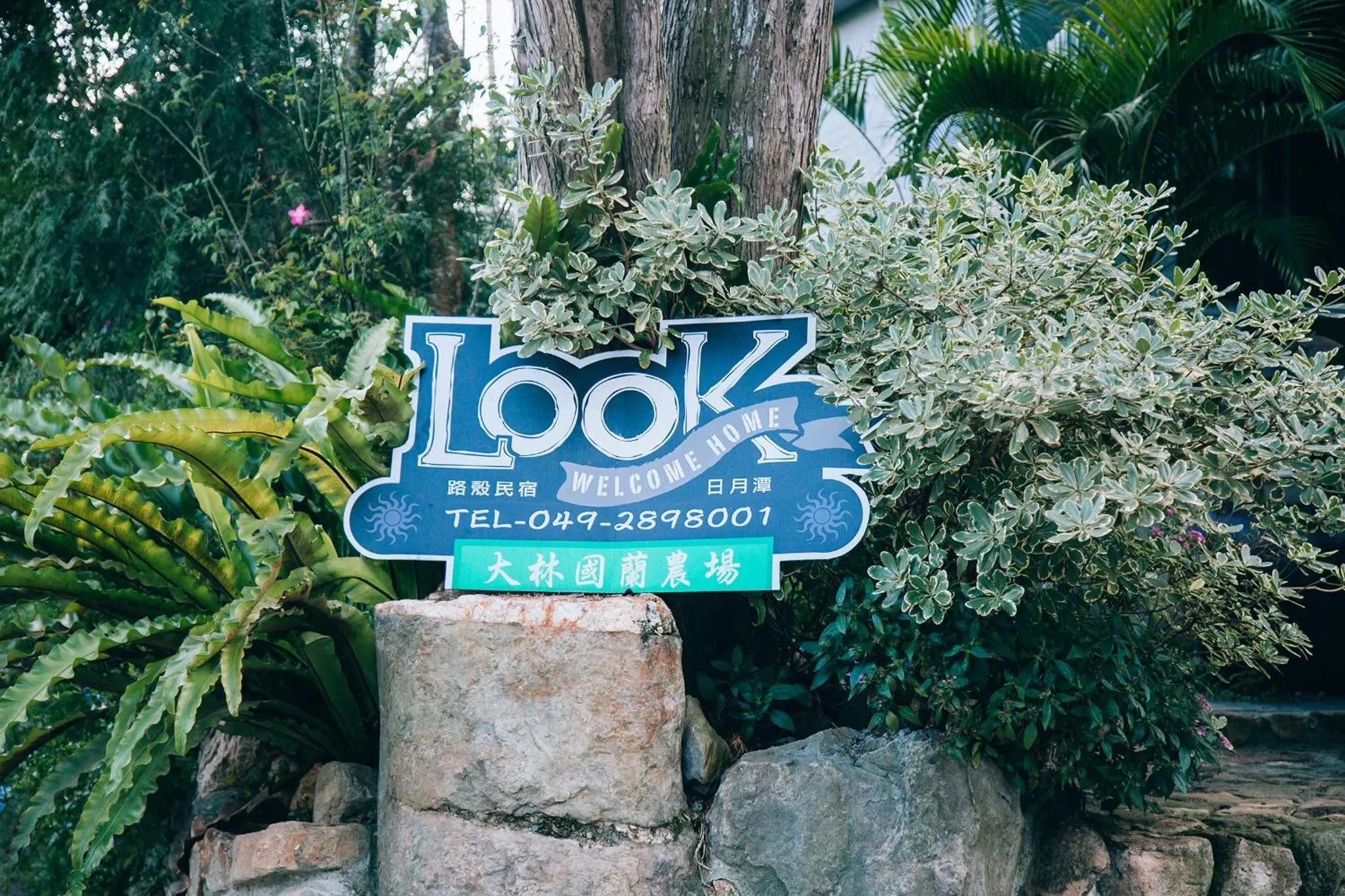 Look Bed and Breakfast