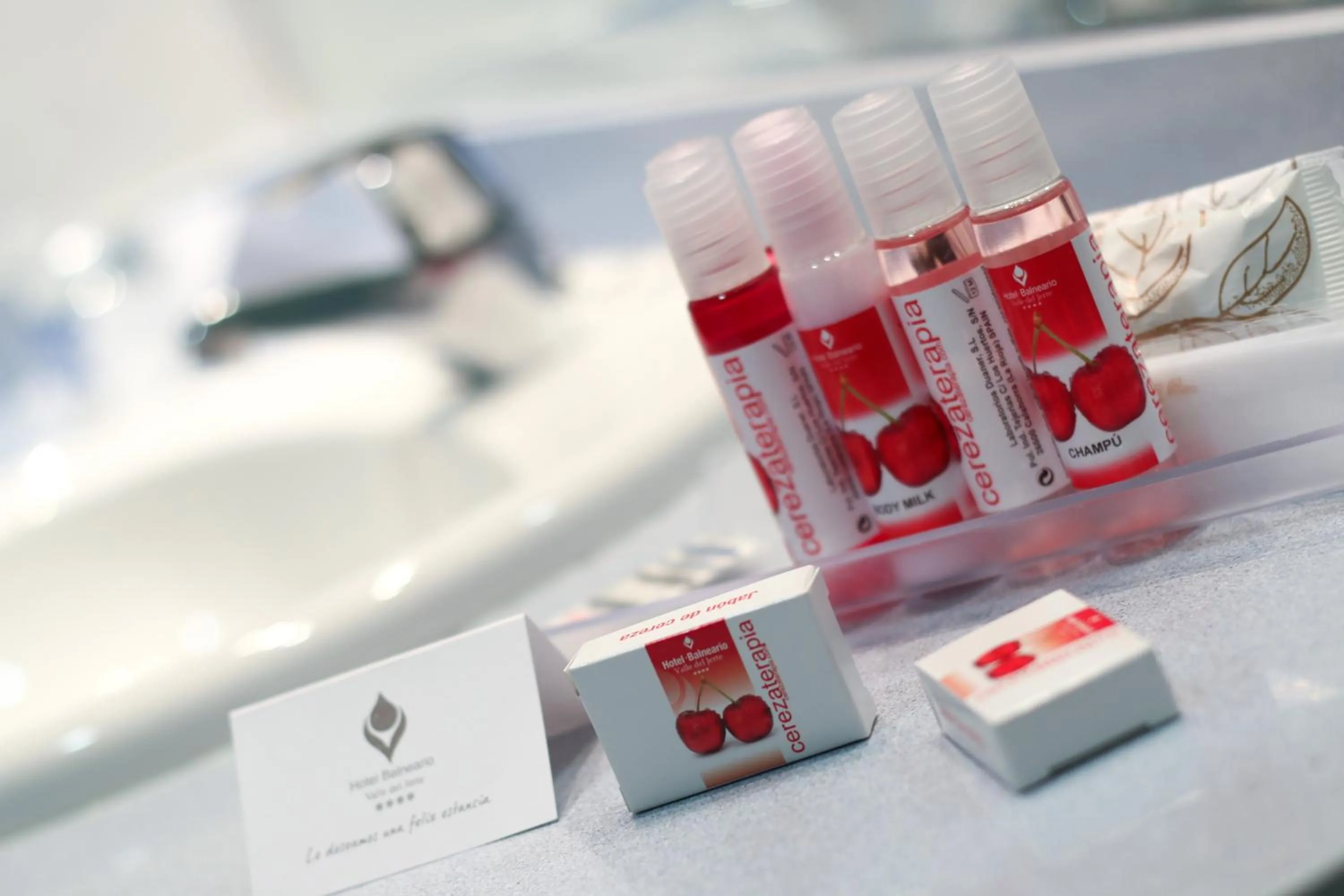 Decorative detail in Hotel Balneario Valle del Jerte